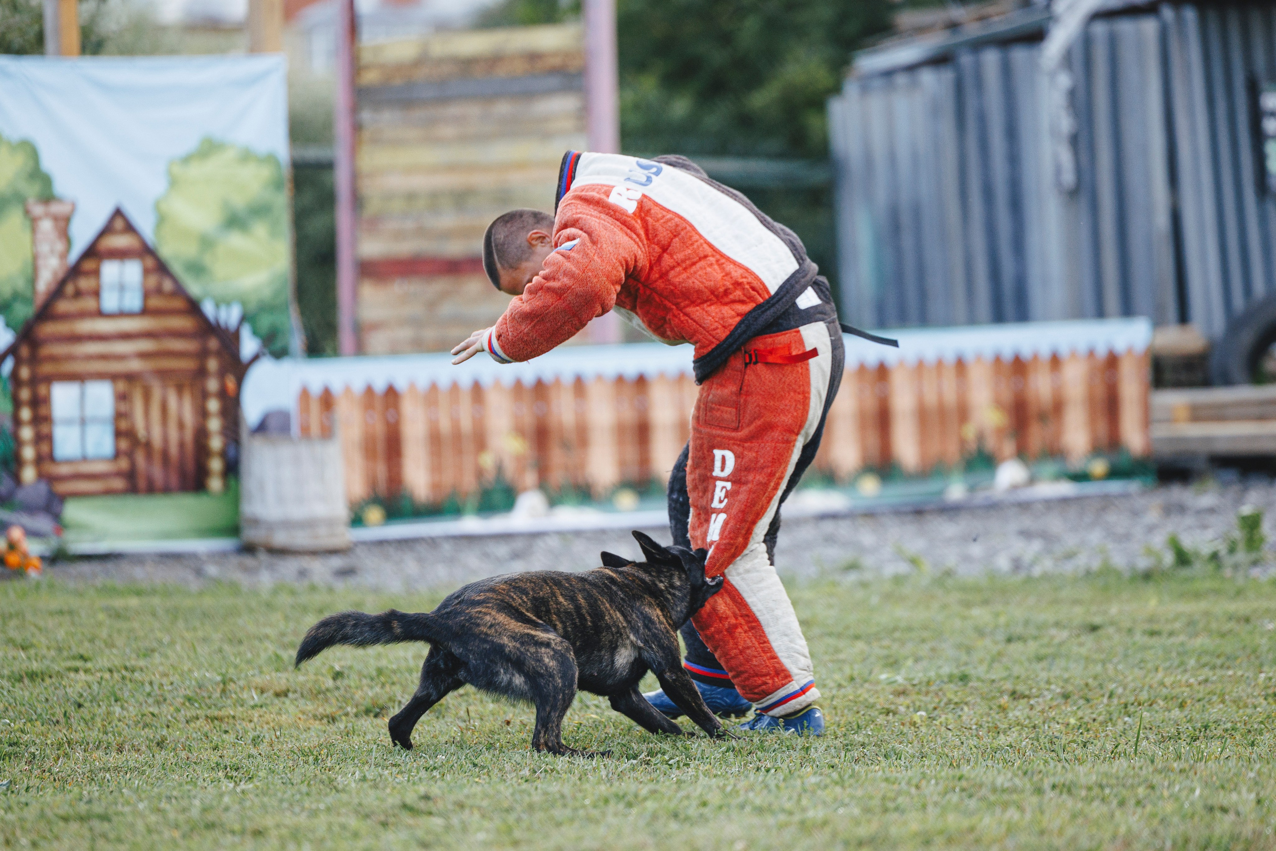 08.08.25-10.08.25 ЧР по мондьорингу г. Вологда. Фотограф-анималист Анна Маринич