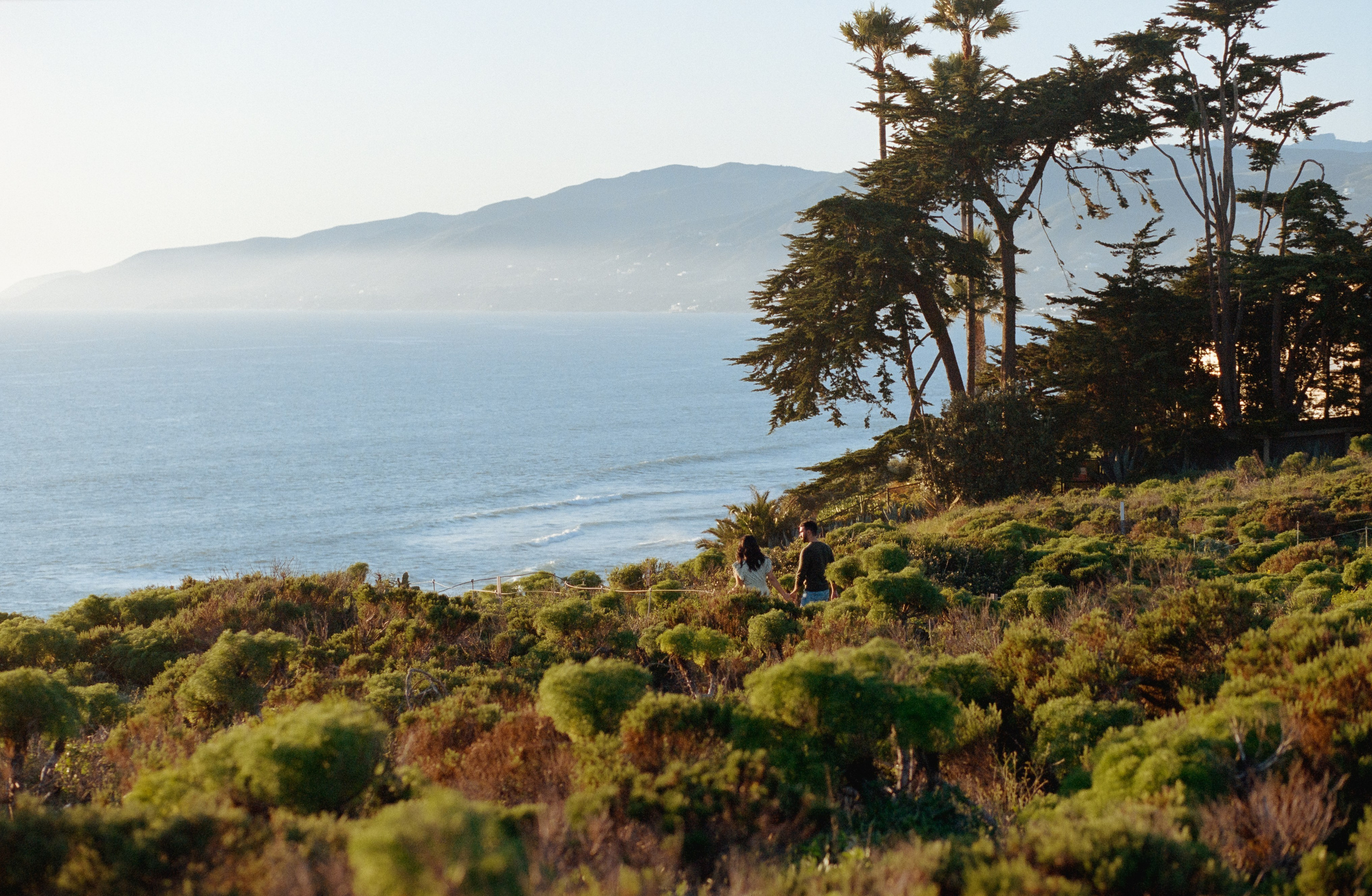 Testimonials for film photographer in Los Angeles. Film photographer in Los Angeles Anastasiya Pankova