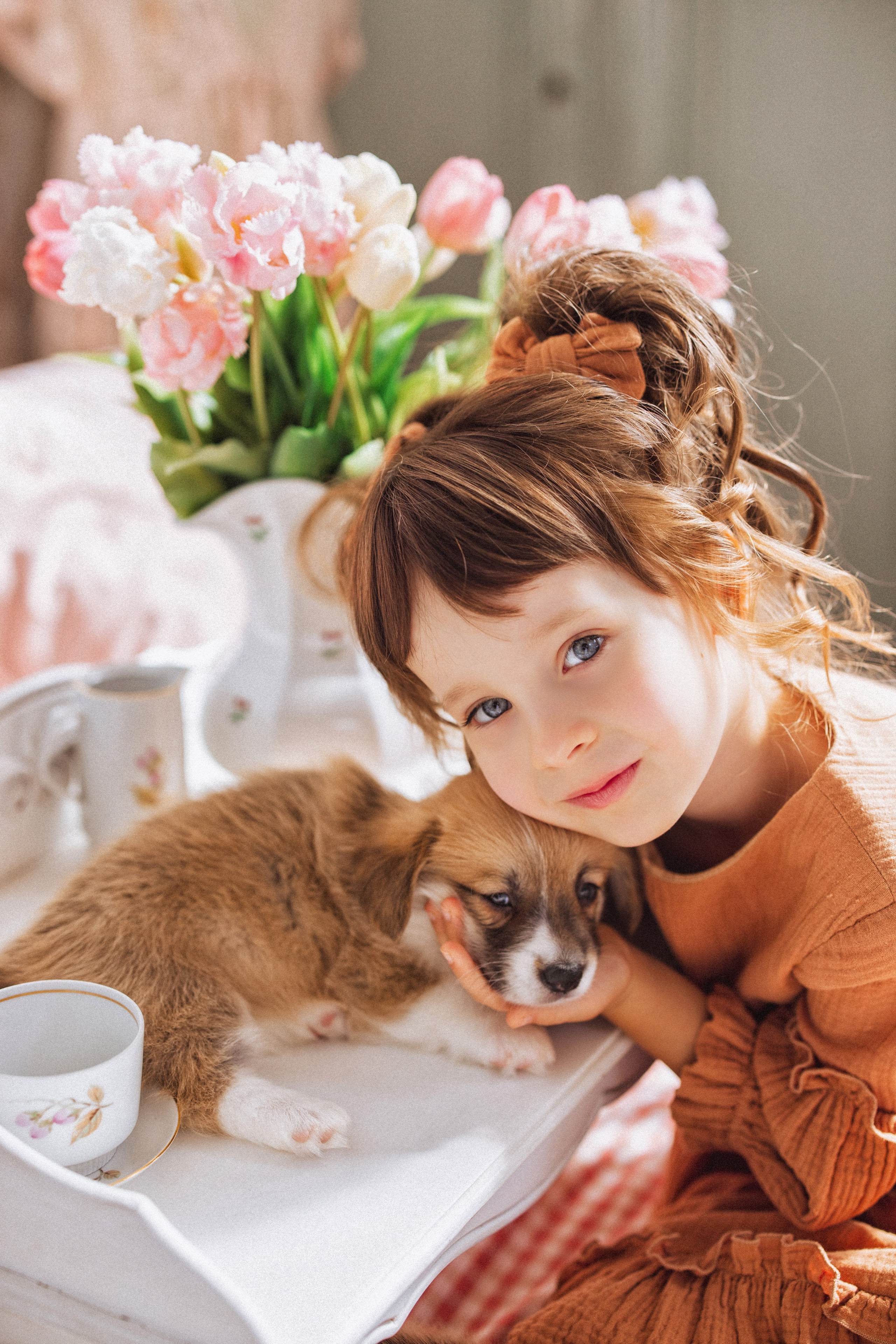 Фотосессия с щенками Корги, в фотостудии Ольги Сурухановой, город Краснодар. Семейный и детский фотограф в Краснодаре Анна Трашкова