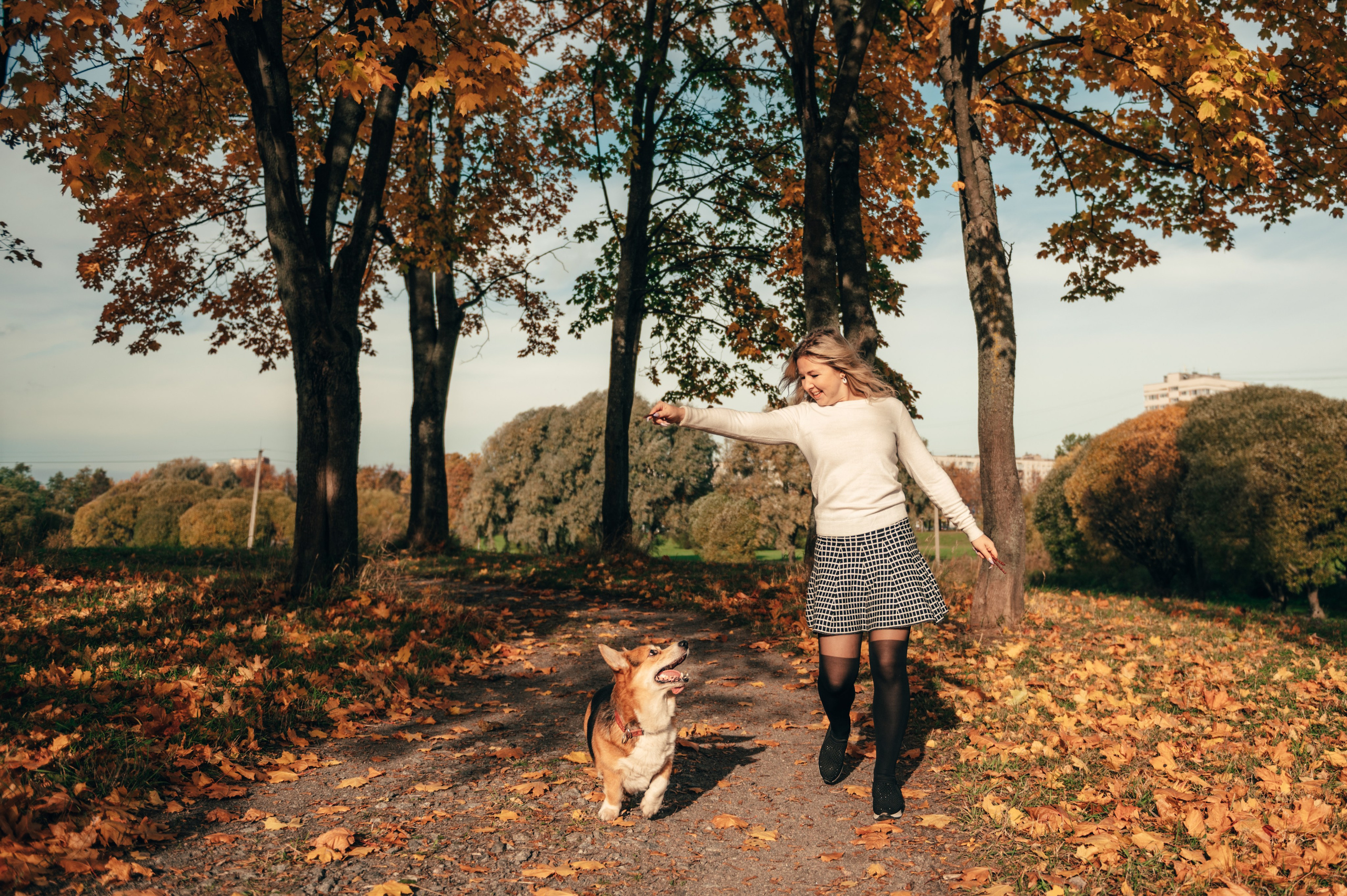 Все краски осени. Свадебный и семейный фотограф София Невская