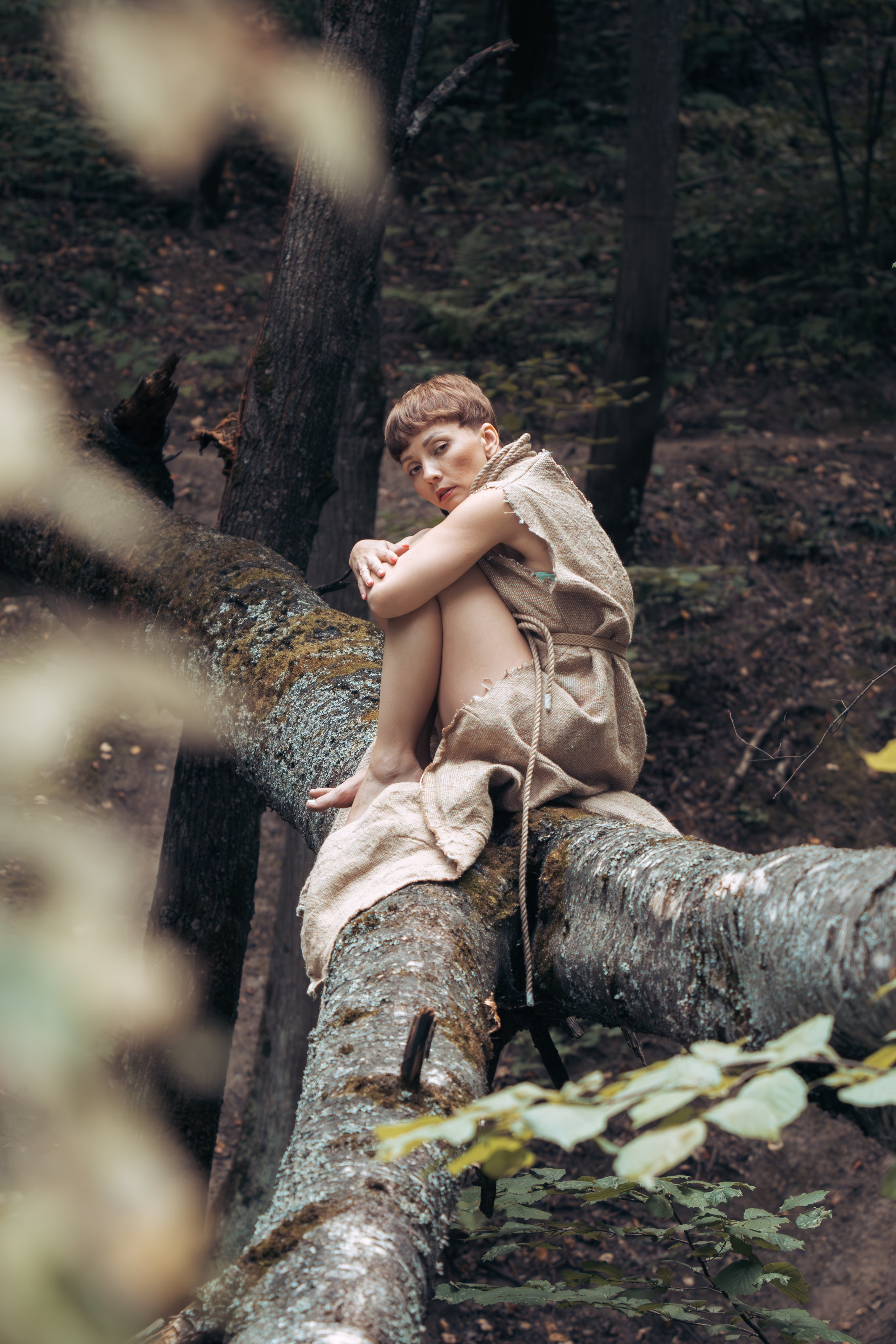 Одинокая девушка сидит на дереве