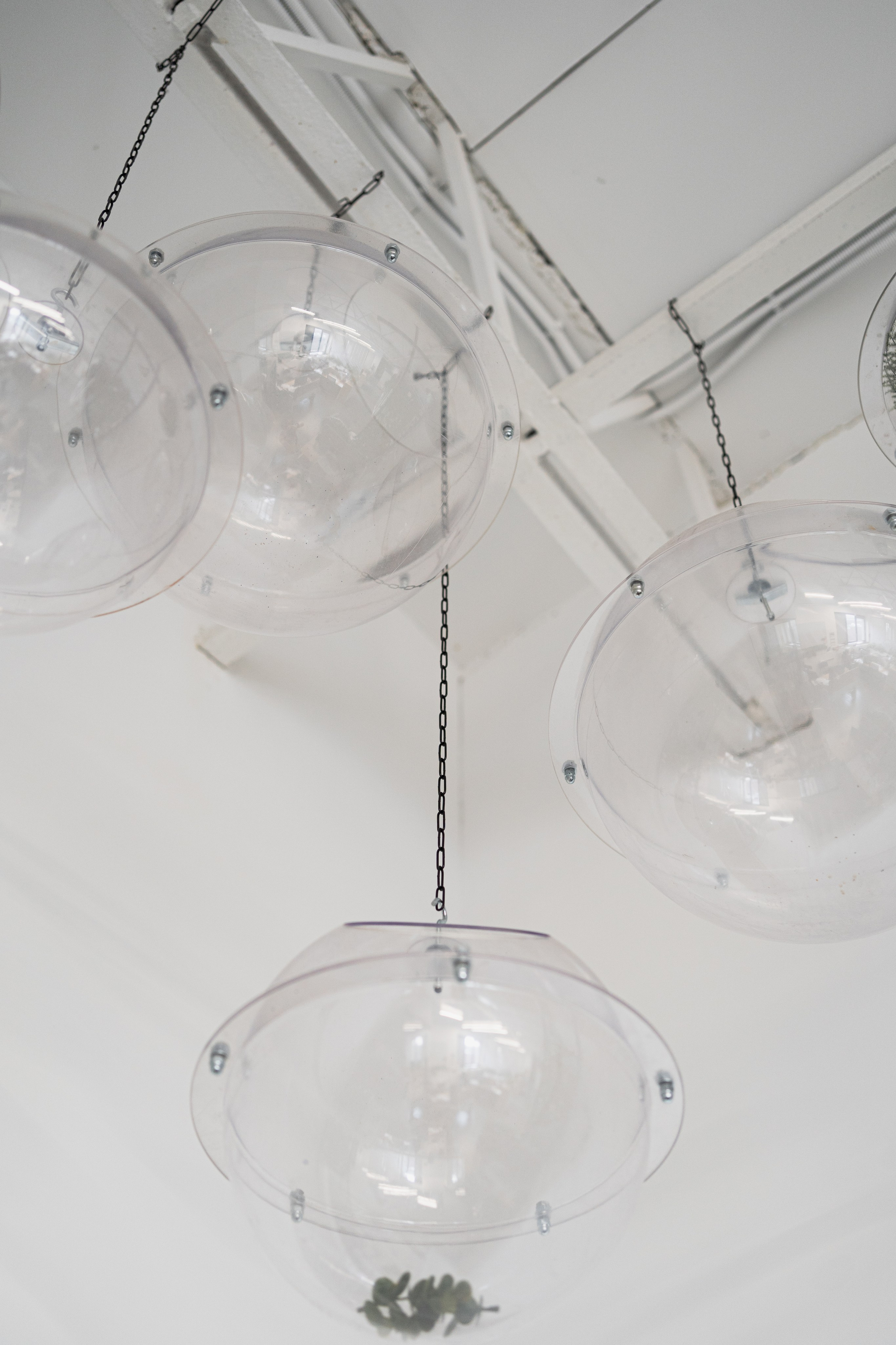 Terra. Елена Пашкевич, фотограф, Москва