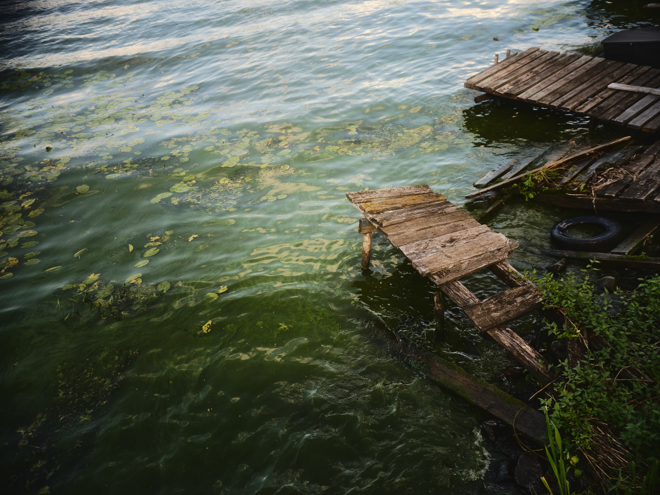 Фотограф Юлия Глазкова
