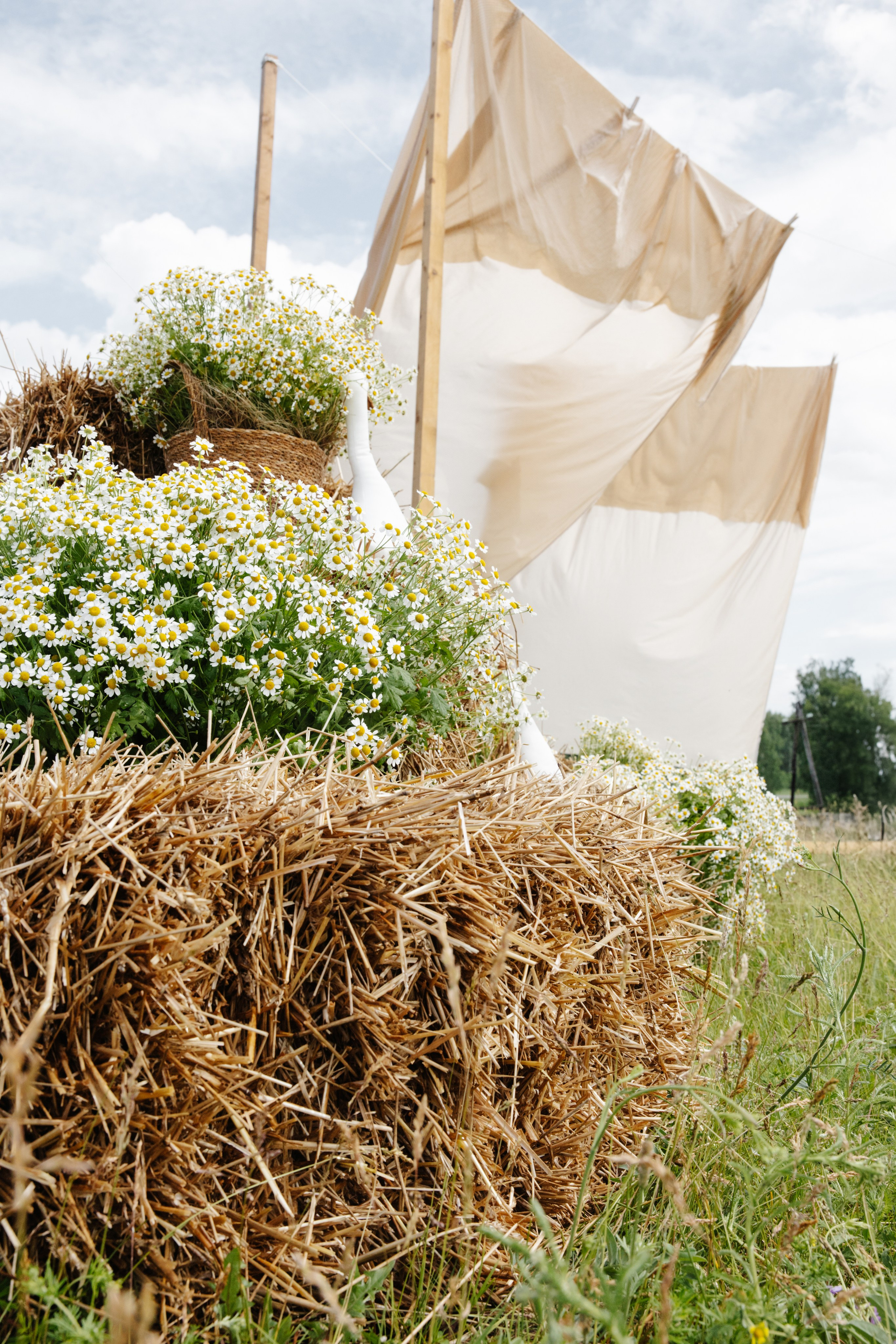 ГЕНДЕР ПАТИ. Фотограф в Красноярске