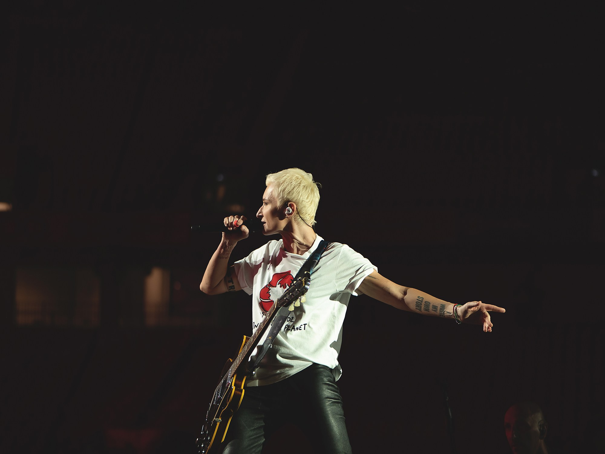 Диана Арбенана/Ночные снайперы. Юбилейный концерт. Фотограф в Москве, Оксана Ребристая