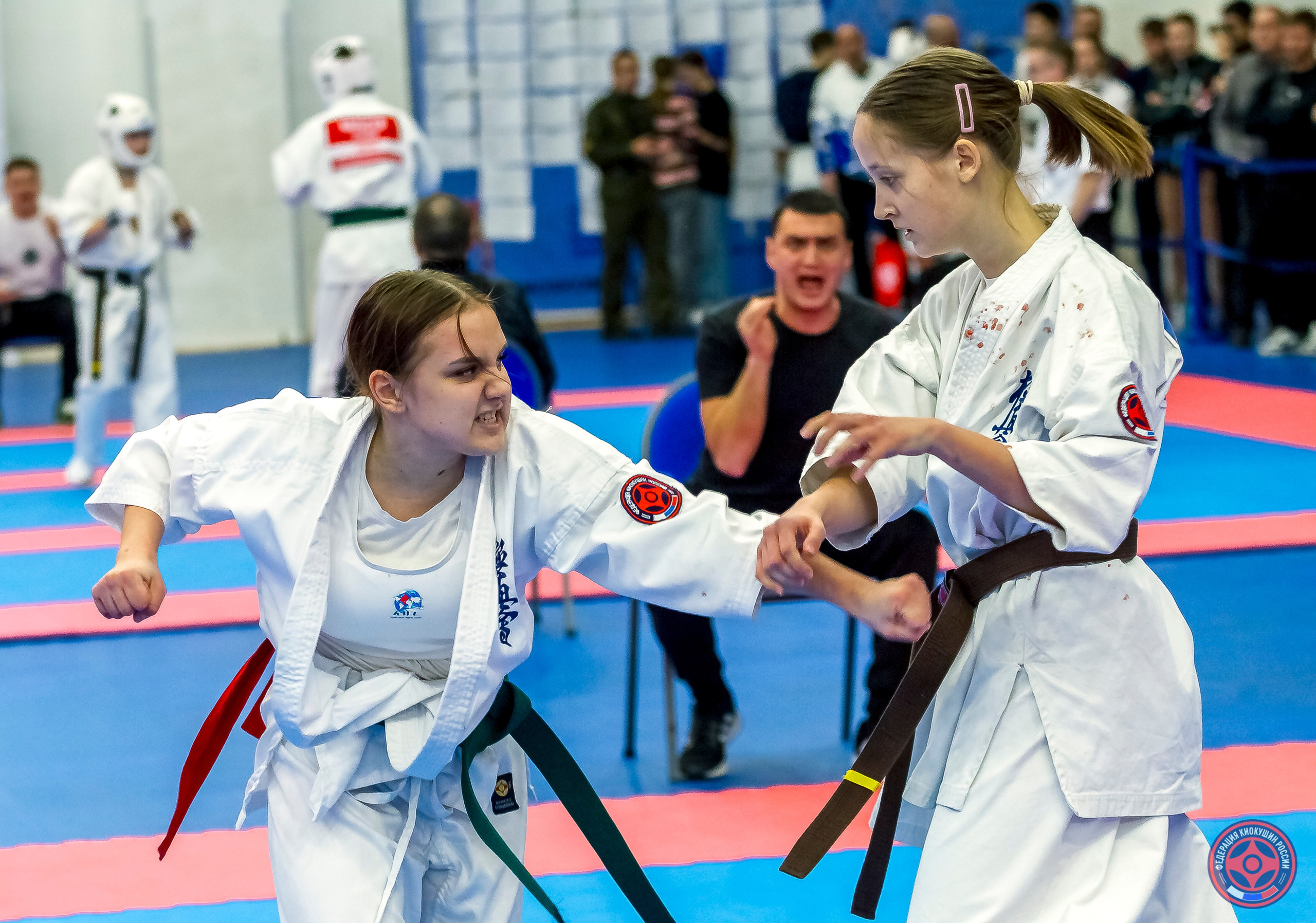 Международный турнир по киокушин «Открытый кубок Seiken». Репортажная съемка в Москве и области. Анималистика