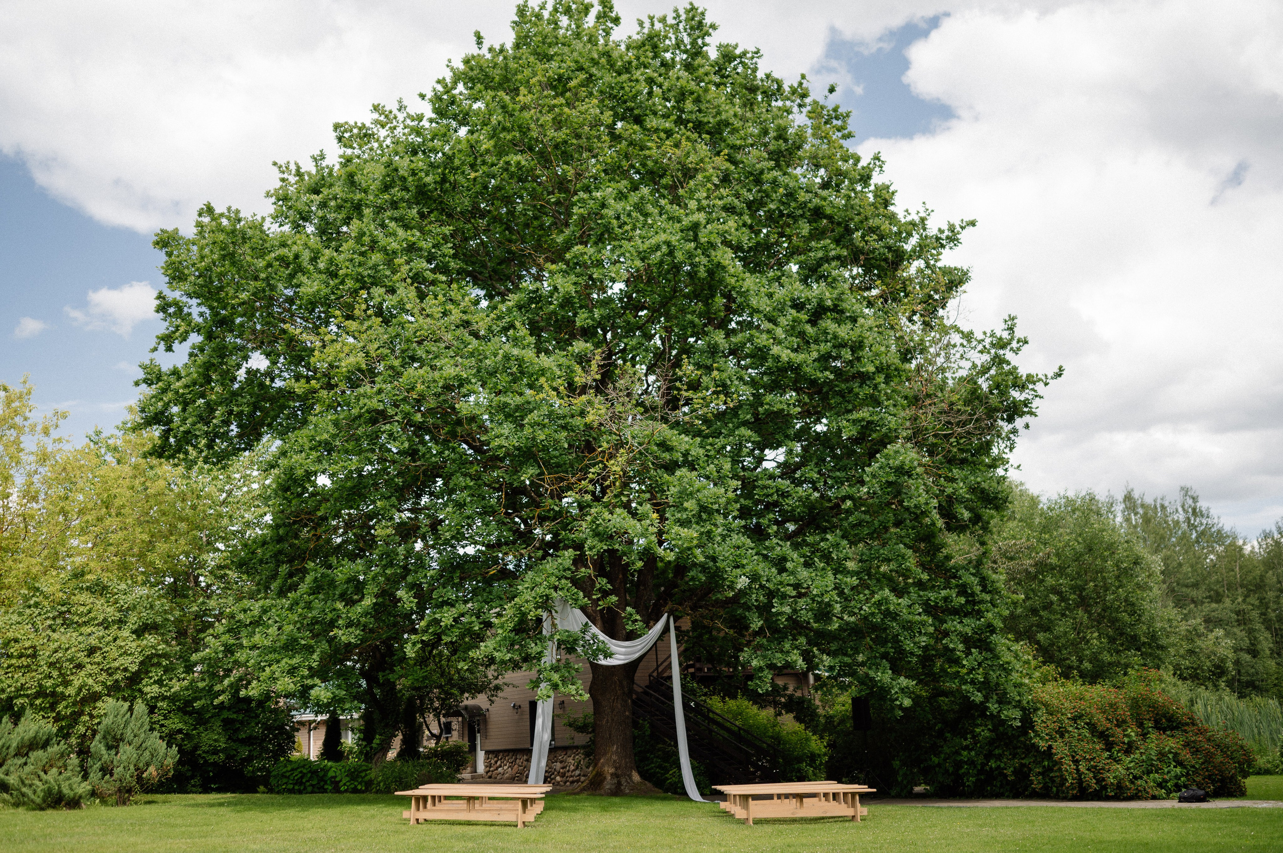 O&M. Свадебный фотограф Минск