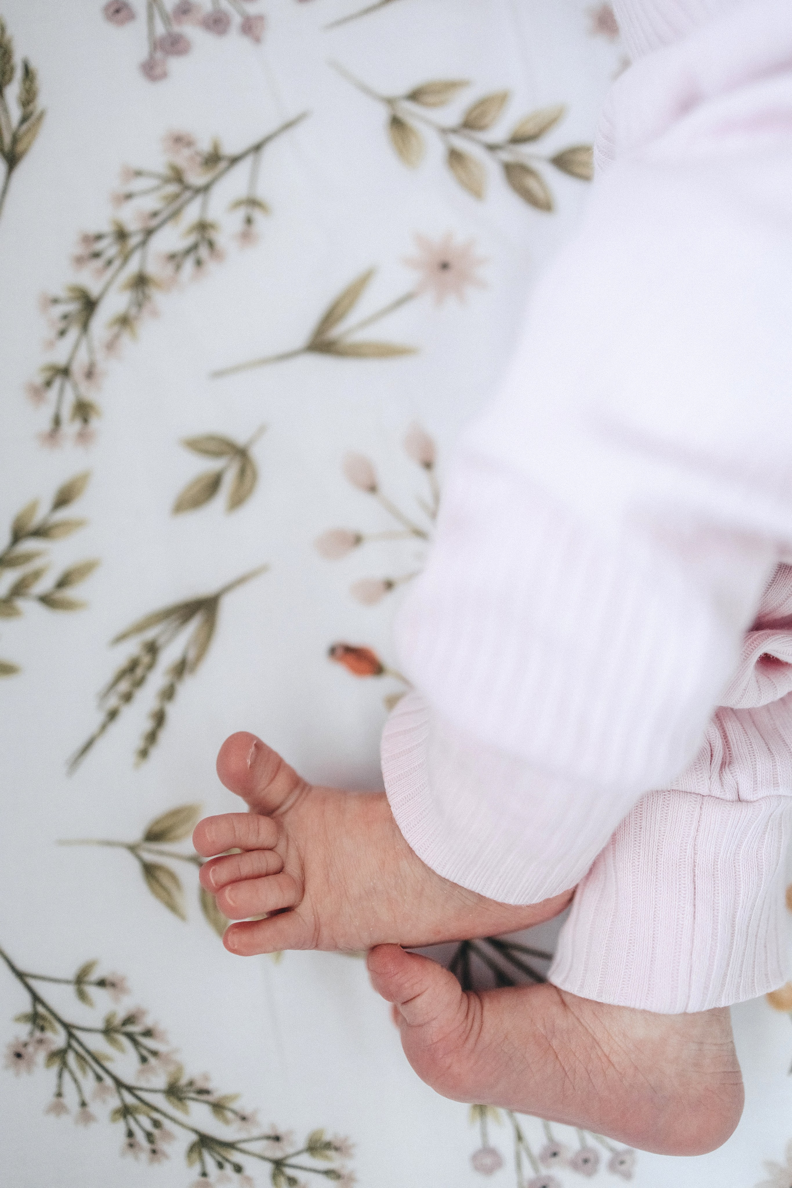 Фотосессия у вас дома. Главная