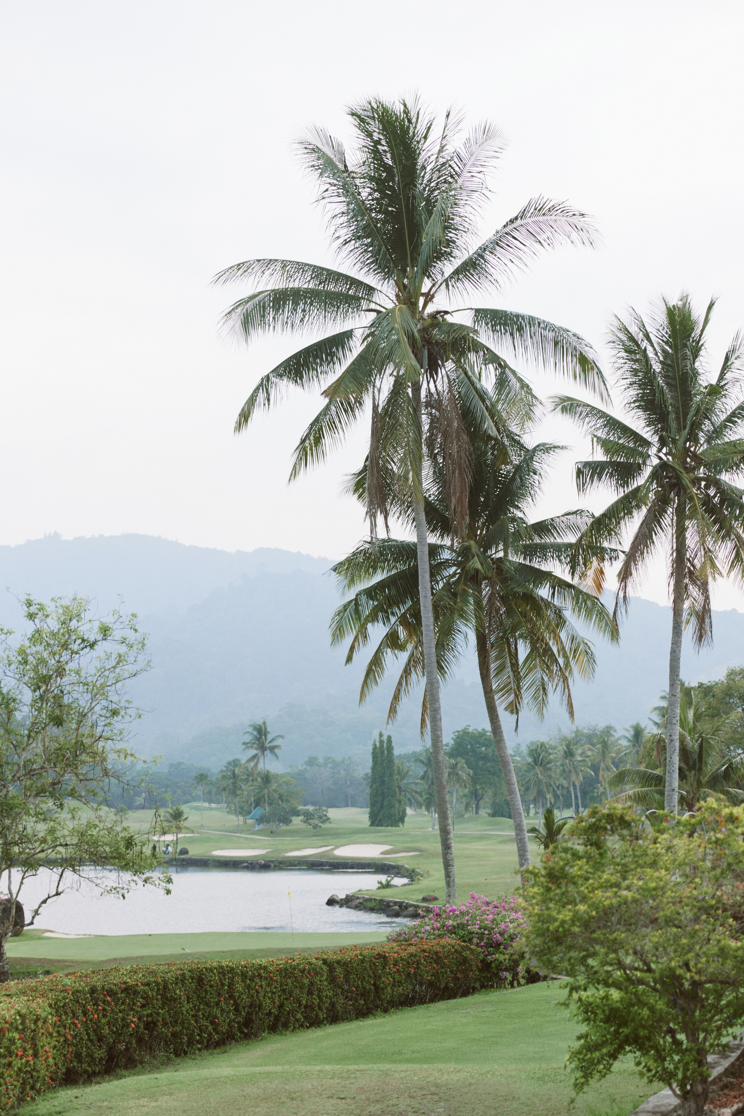 DRAMA QUEEN. Дмитрий Мазуркевич: Профессиональный Репортажный Фотограф