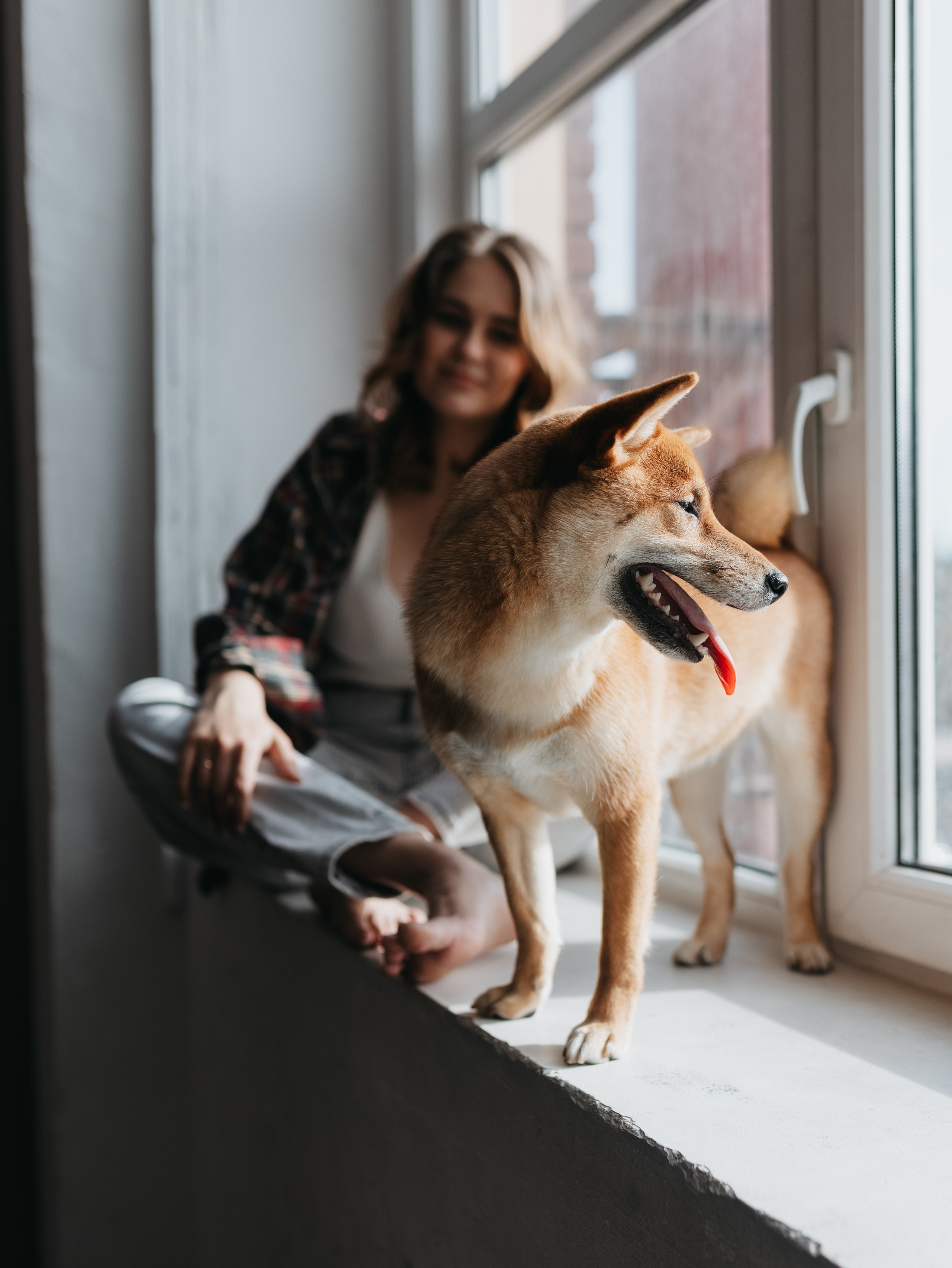 Мика и Настя. Фотограф-анималист в Москве Кириллова Татьяна