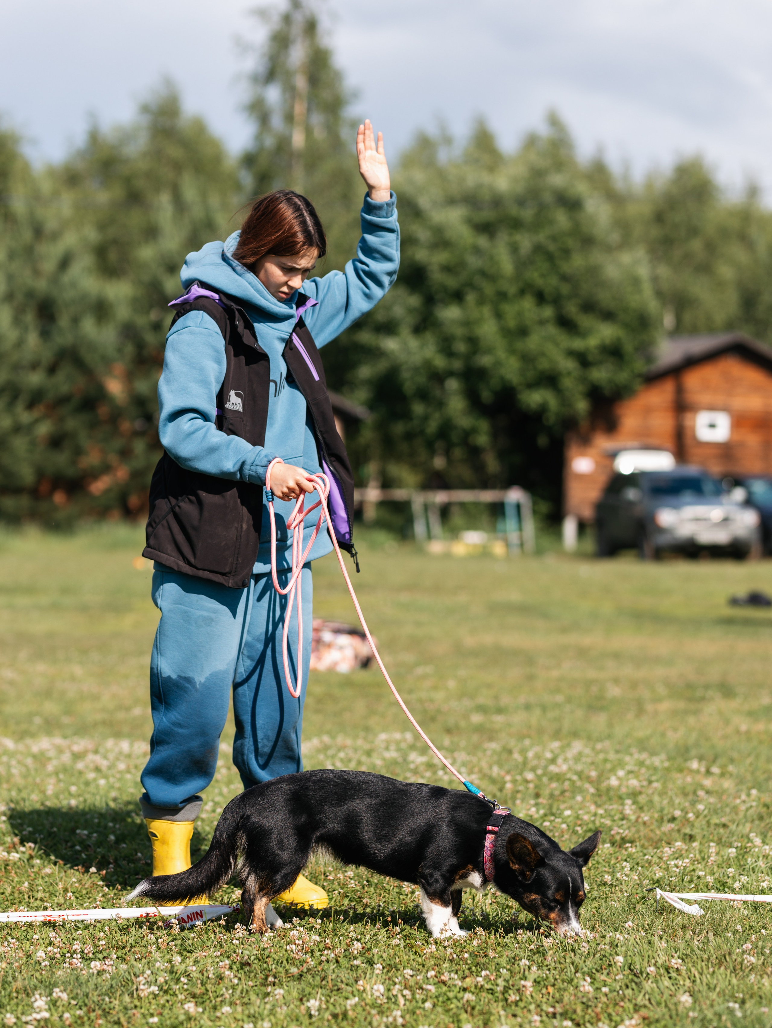 Лагерь ноузворк. Фотограф-анималист в Москве Кириллова Татьяна
