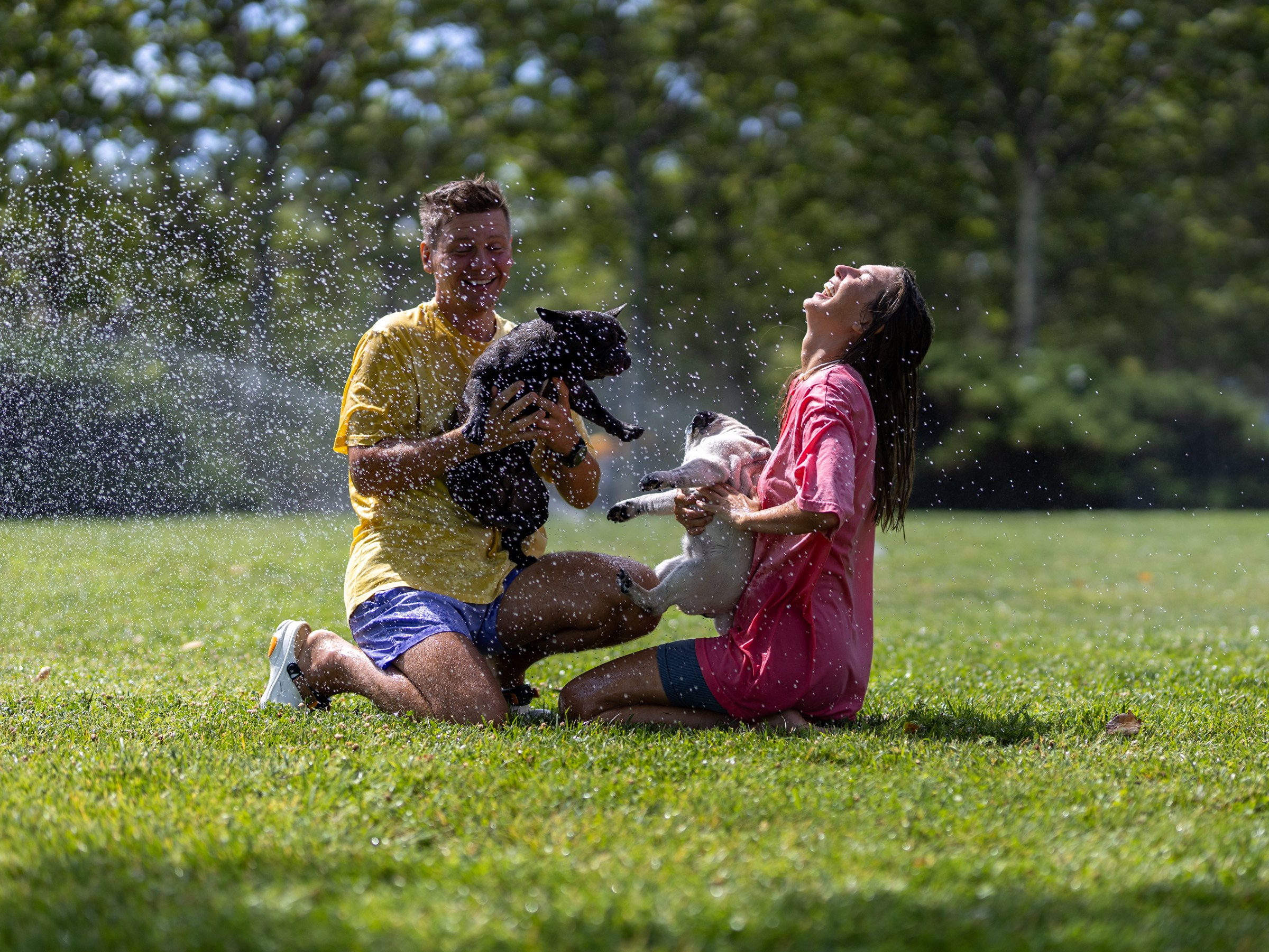 Сладкое лето. Фотограф-анималист в Москве Кириллова Татьяна