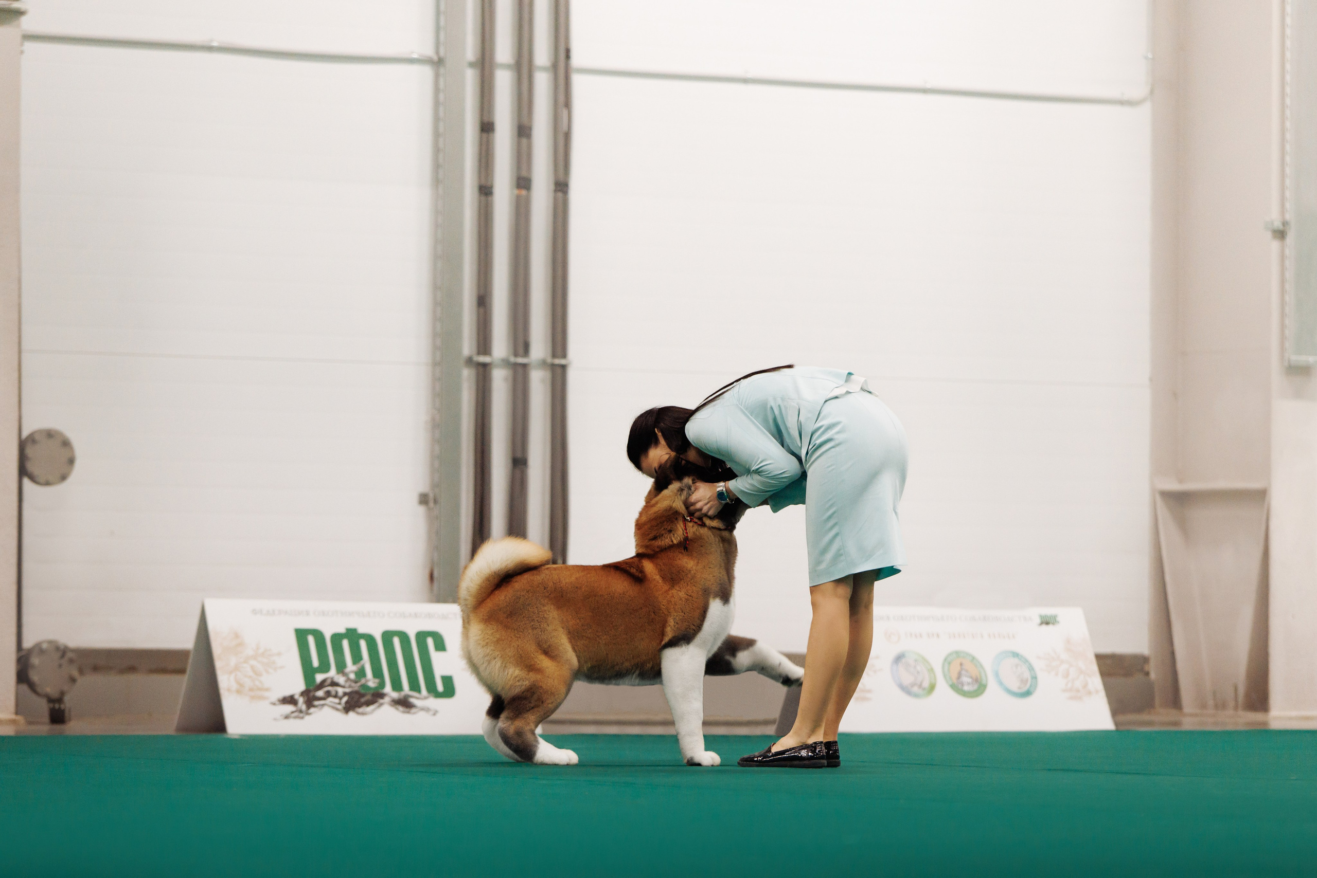 29-30.11.2025 — Казань «Зилант». Фотограф-анималист Саша Вязьмина