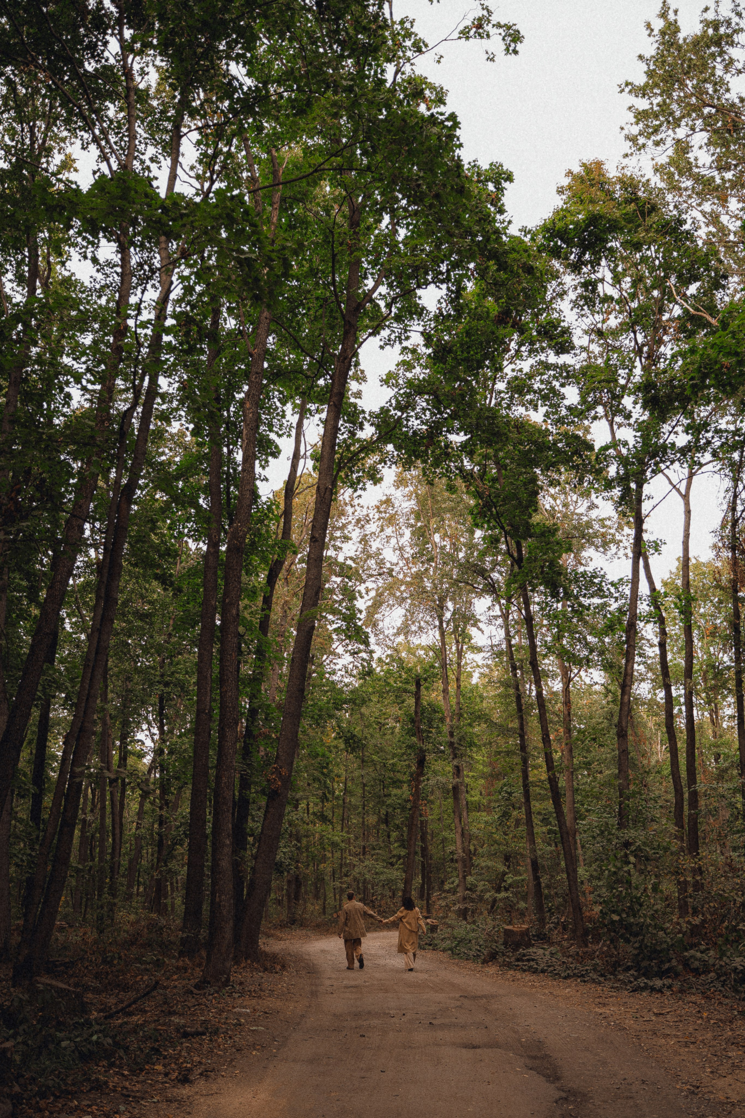 Лес. Фотограф Мария Зайчик