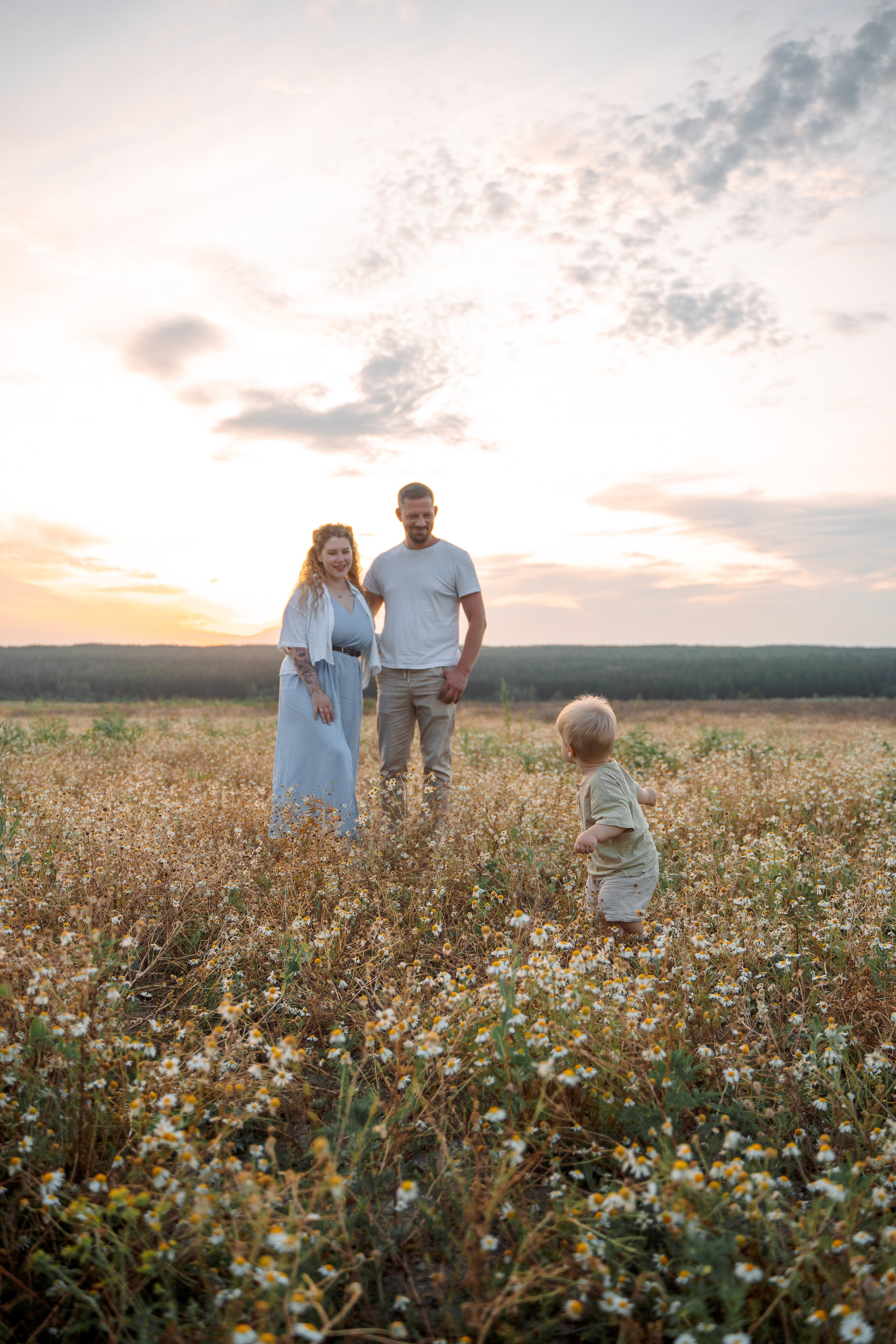 РОМАШКИ. Фотограф Мария Зайчик