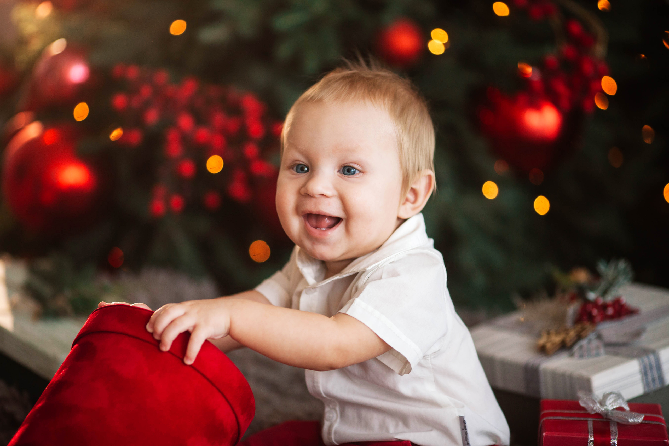Семейная фотография. Семейный фотограф Толстикова Кристина