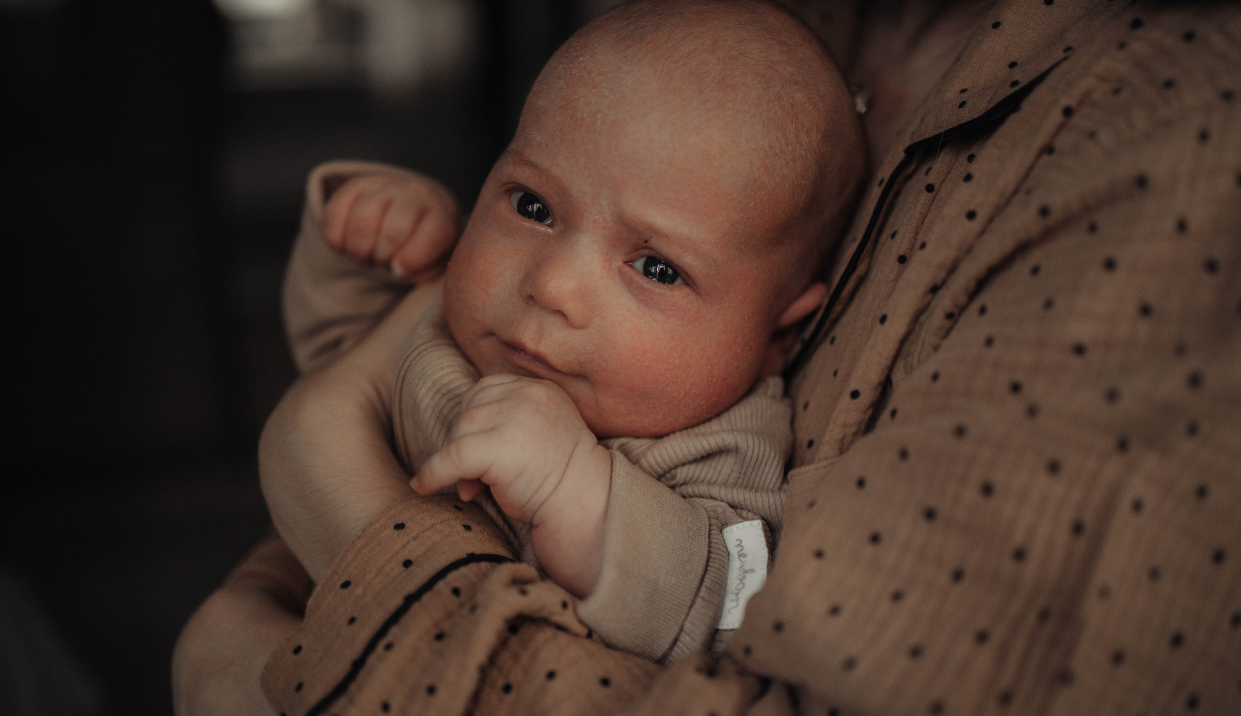 Ваня, Вика, Вова. Sporysheva.ru