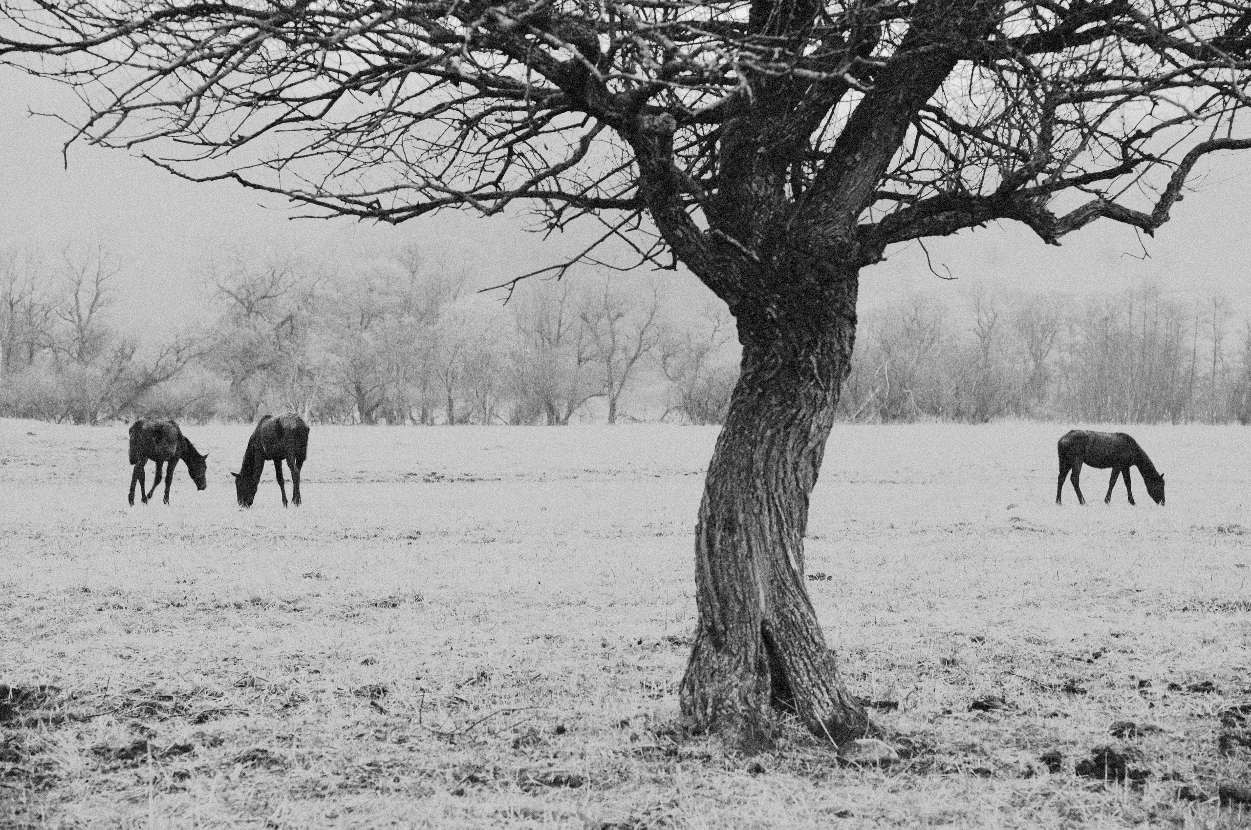 Особый взгляд на людей. Сергей Гаврилов, фотограф