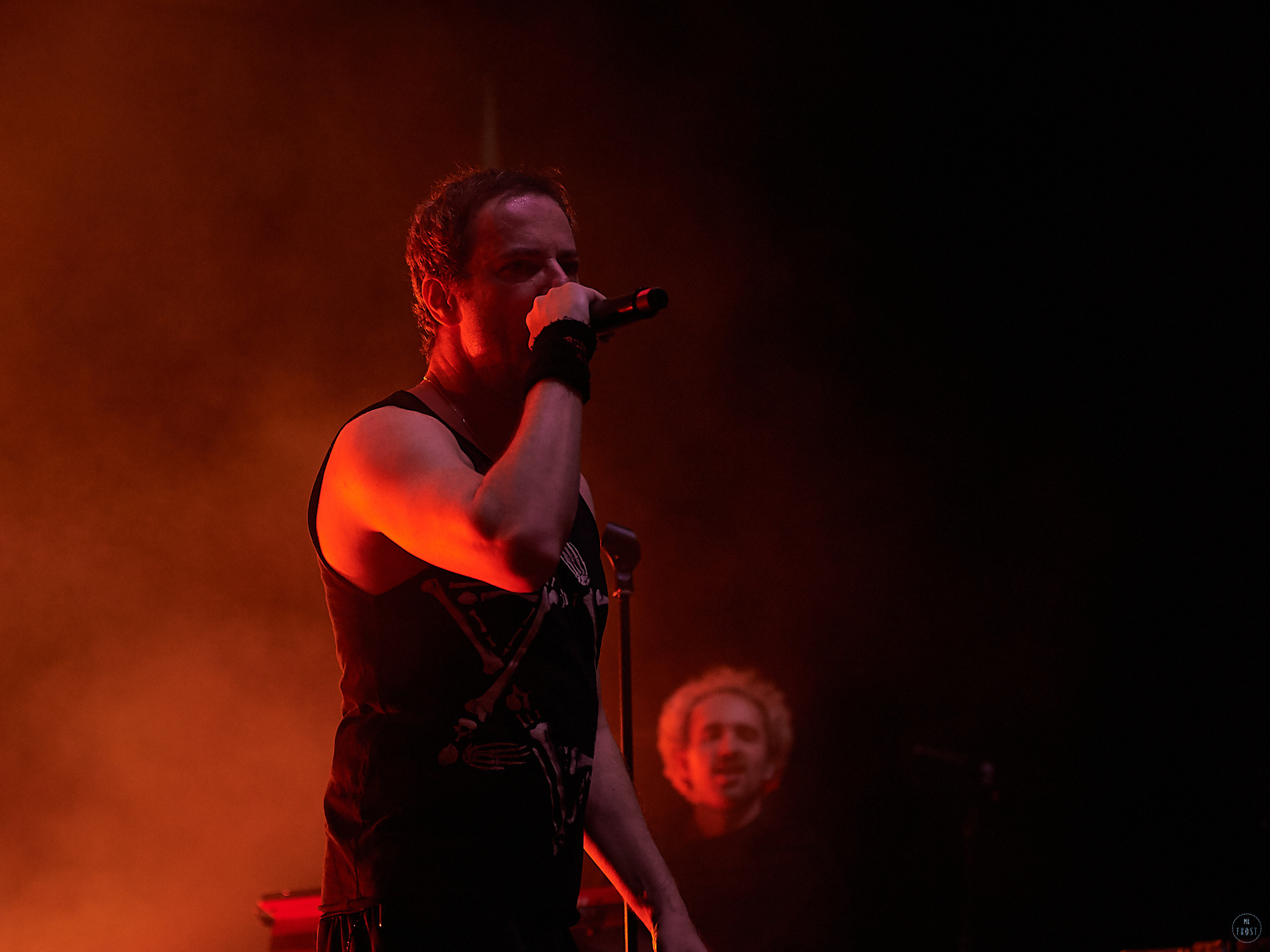 Animal ДжаZ. Фотографии отовсюду и обо всем