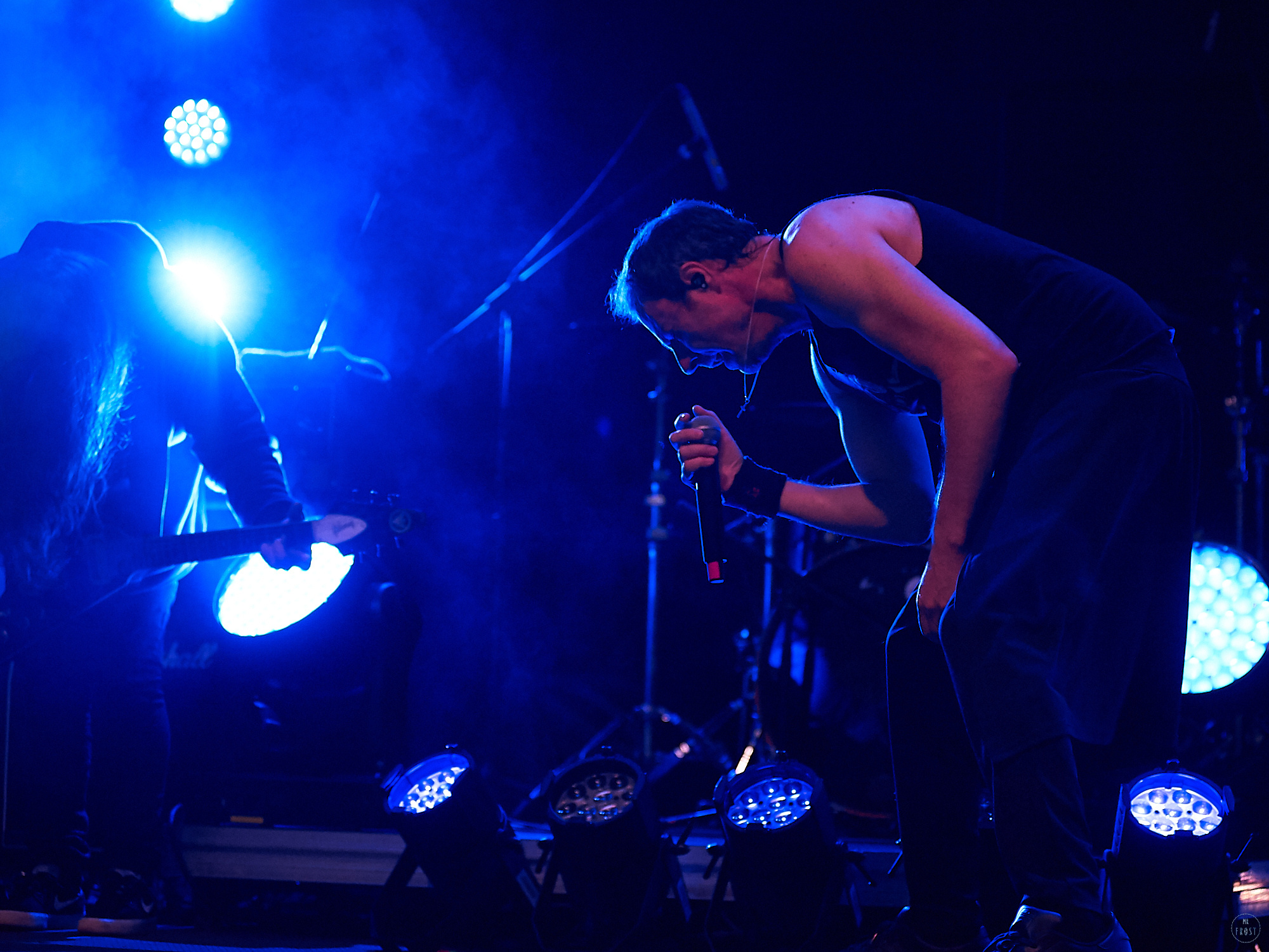 Animal ДжаZ. Фотографии отовсюду и обо всем