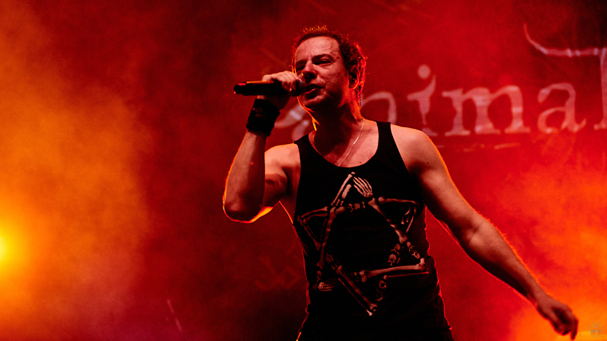 Animal ДжаZ. Фотографии отовсюду и обо всем