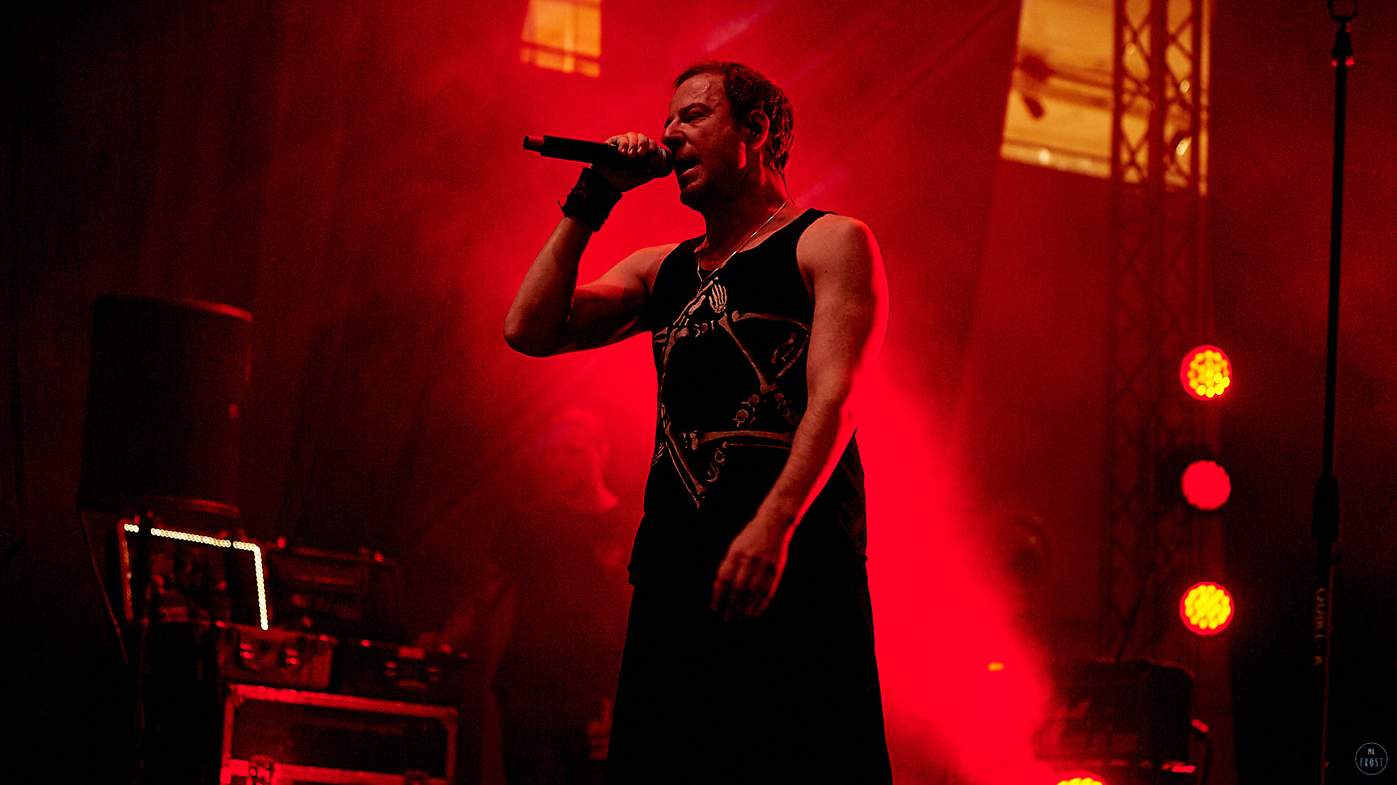 Animal ДжаZ. Фотографии отовсюду и обо всем