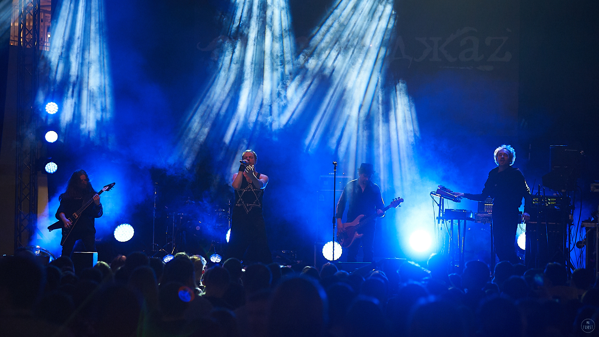 Animal ДжаZ. Фотографии отовсюду и обо всем