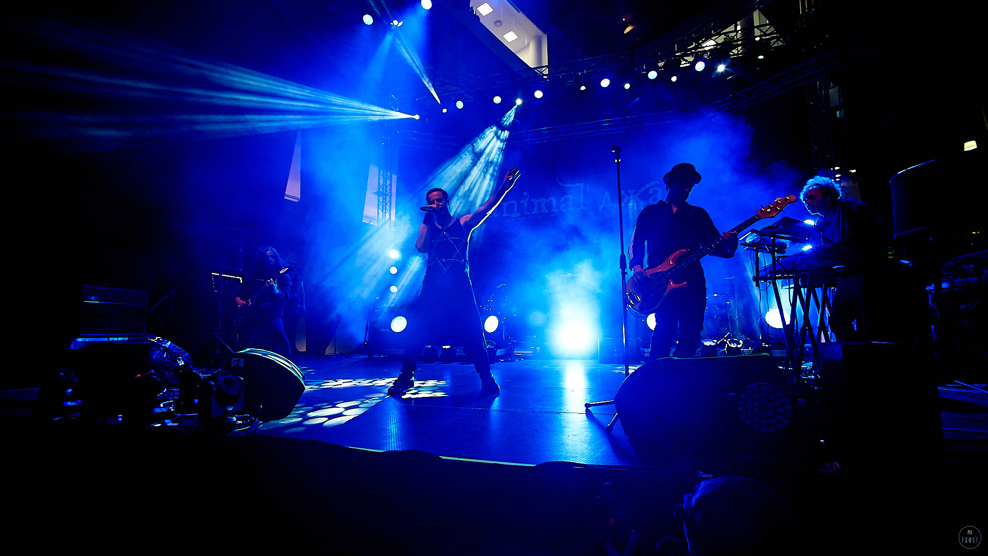 Animal ДжаZ. Фотографии отовсюду и обо всем