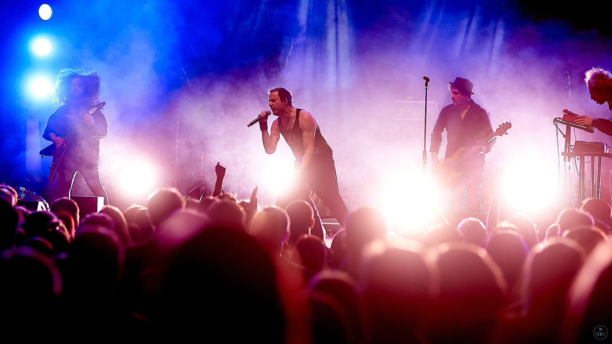 Animal ДжаZ. Фотографии отовсюду и обо всем