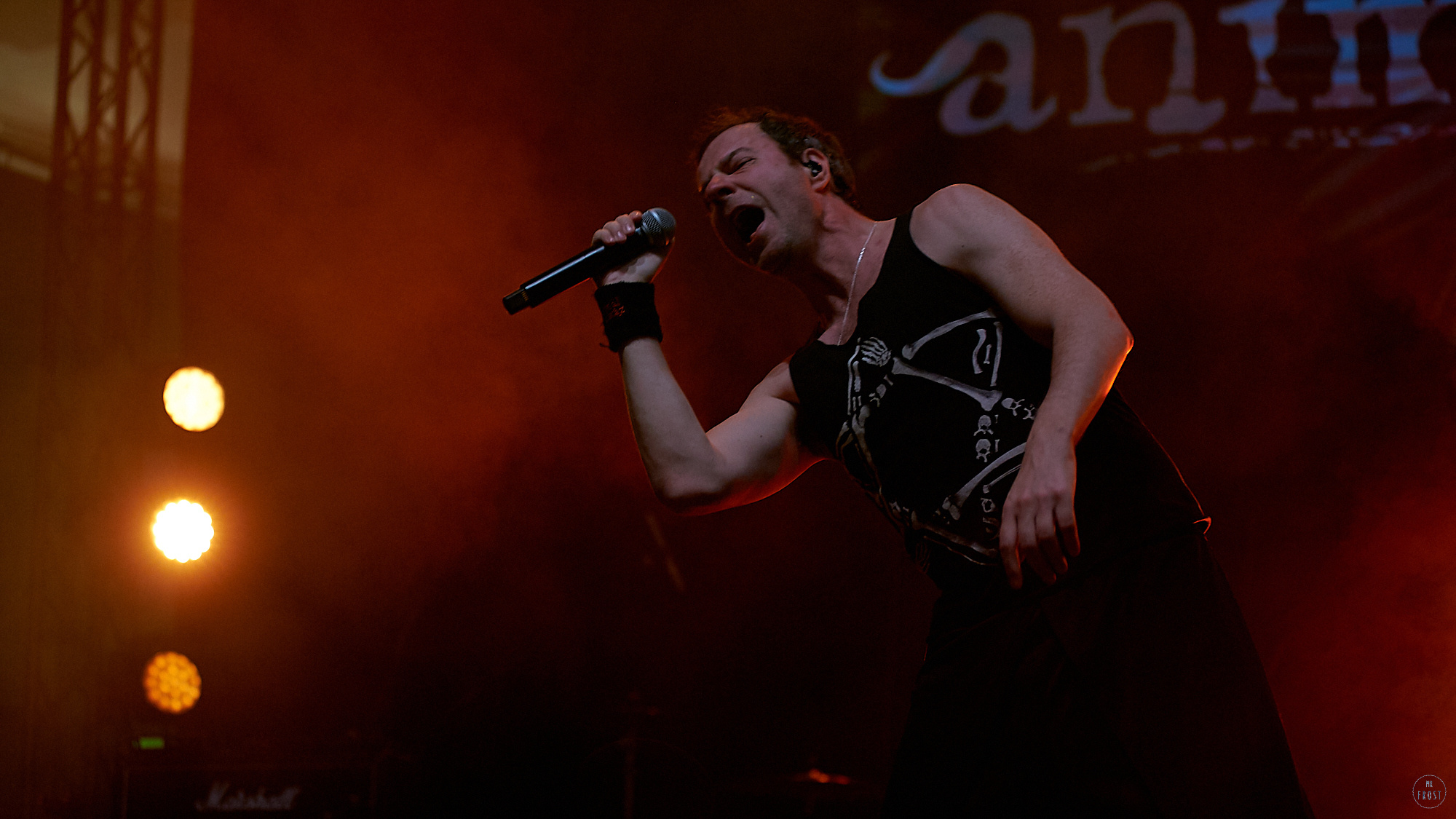 Animal ДжаZ. Фотографии отовсюду и обо всем