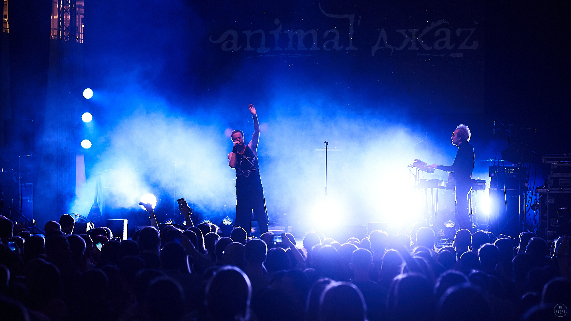 Animal ДжаZ. Фотографии отовсюду и обо всем