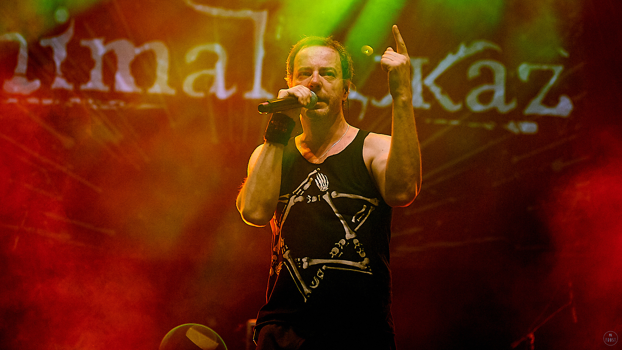 Animal ДжаZ. Фотографии отовсюду и обо всем