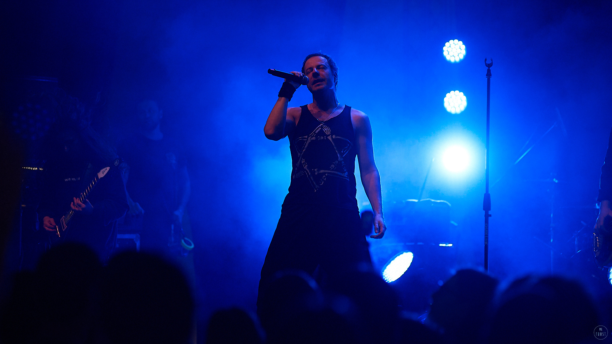 Animal ДжаZ. Фотографии отовсюду и обо всем