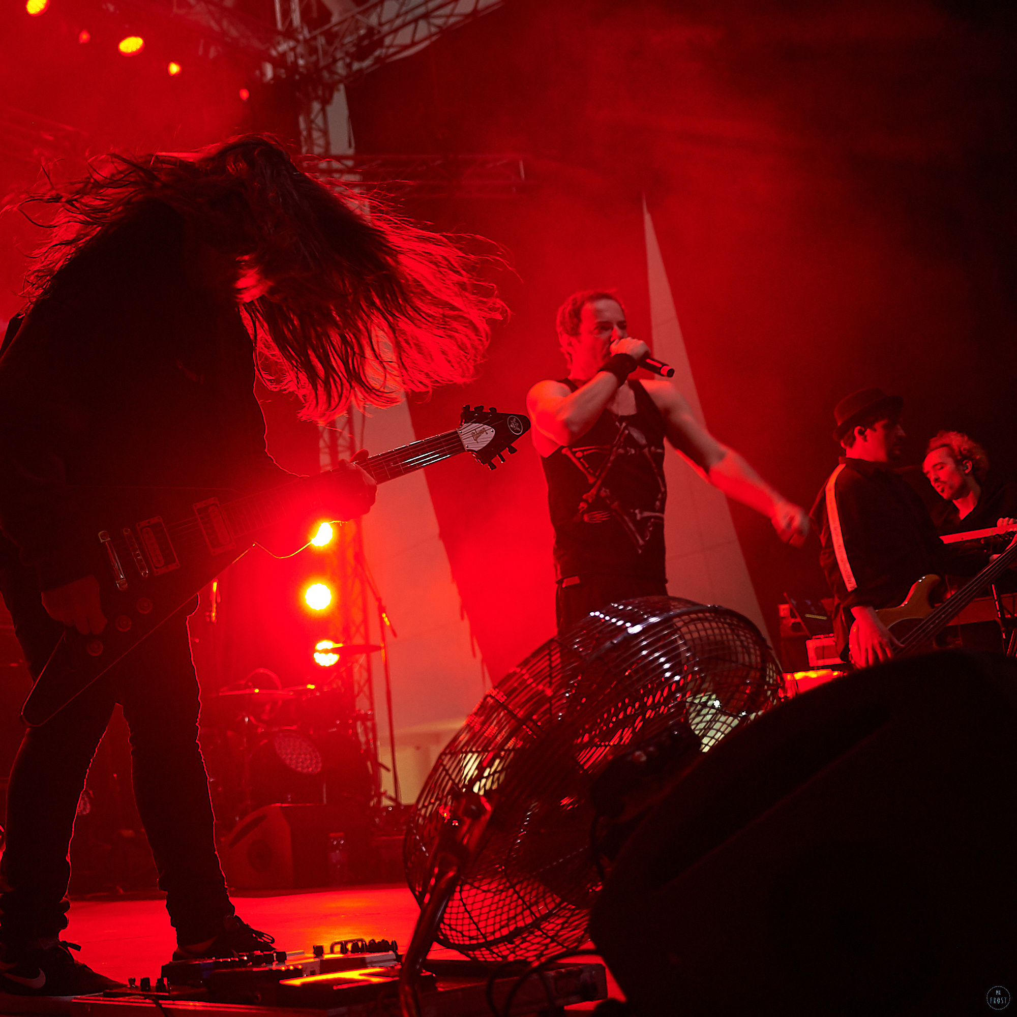 Animal ДжаZ. Фотографии отовсюду и обо всем