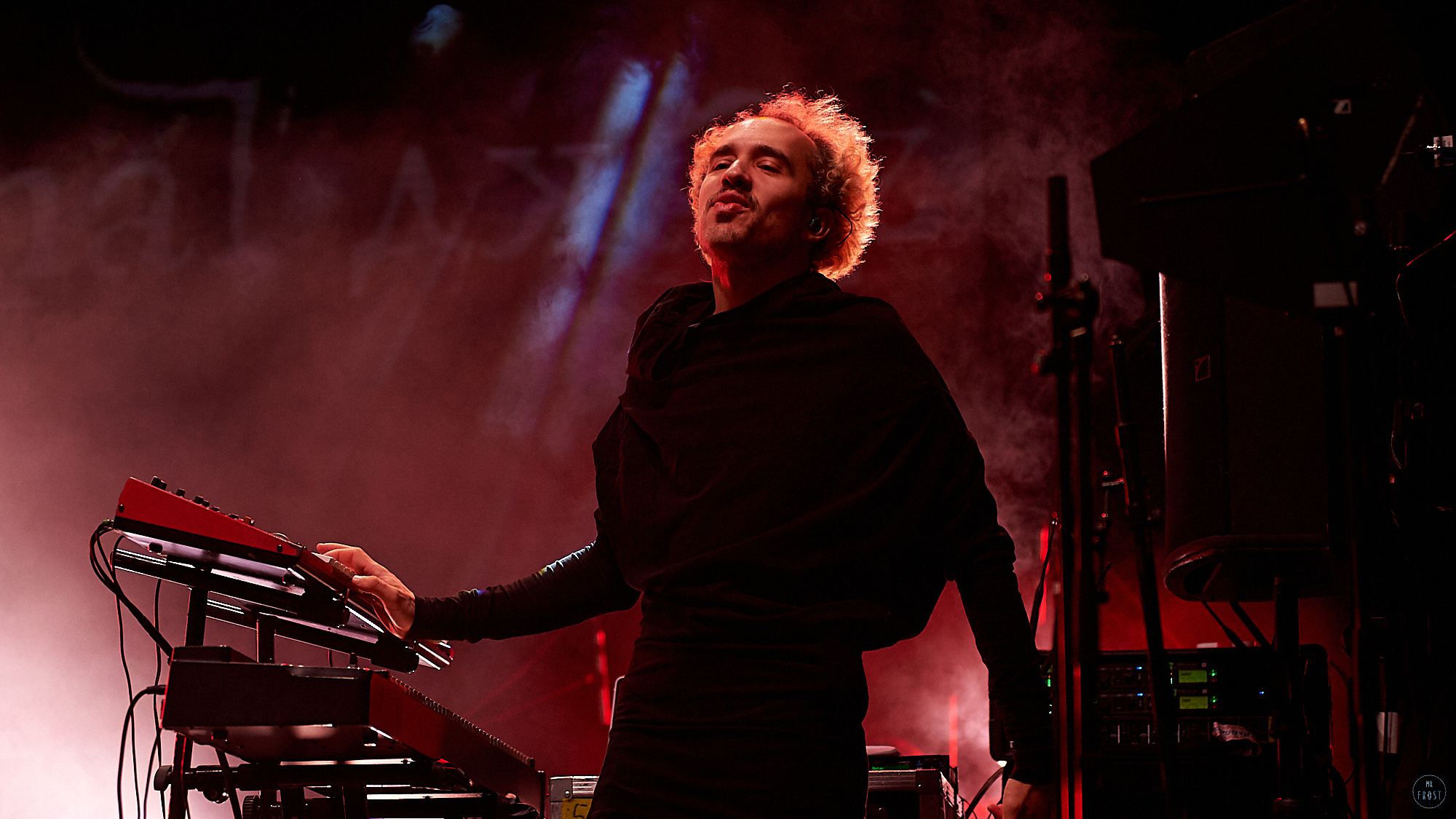 Animal ДжаZ. Фотографии отовсюду и обо всем