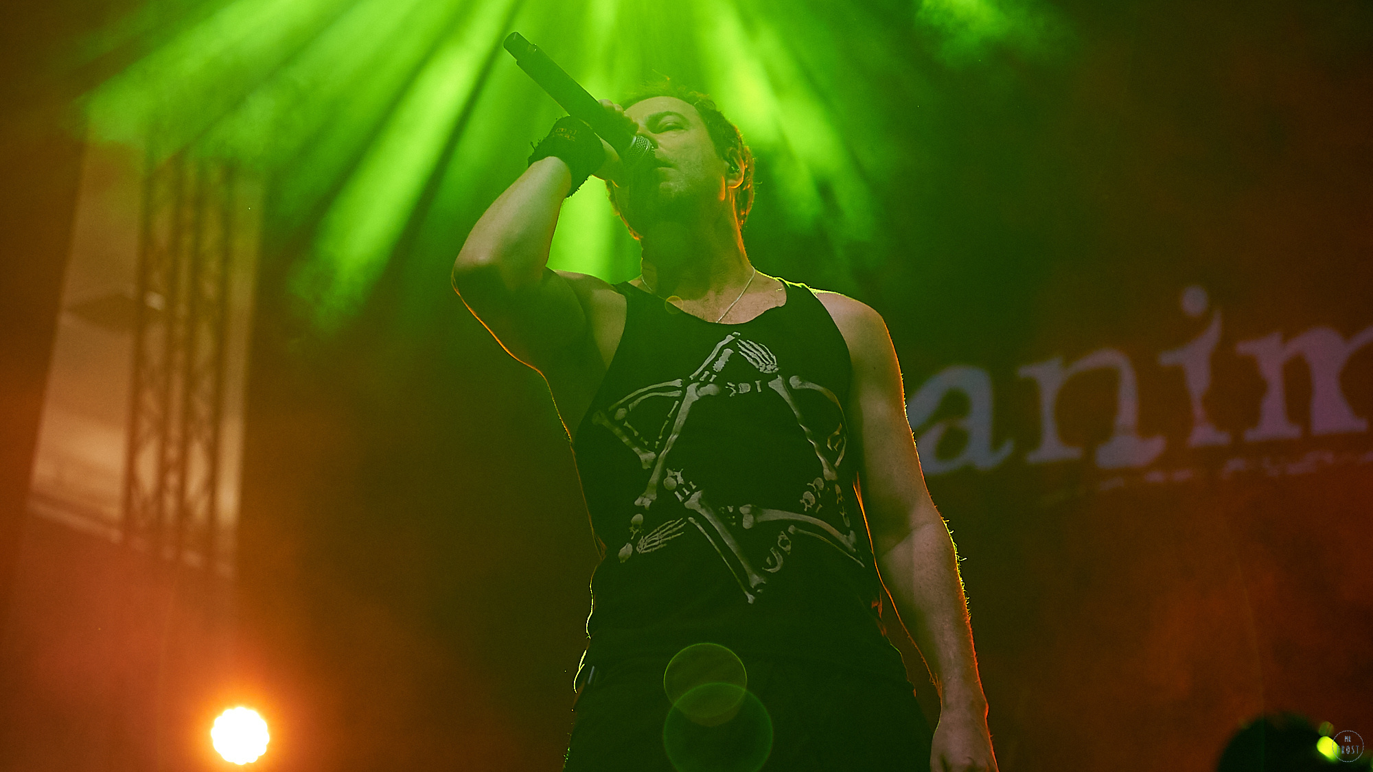 Animal ДжаZ. Фотографии отовсюду и обо всем