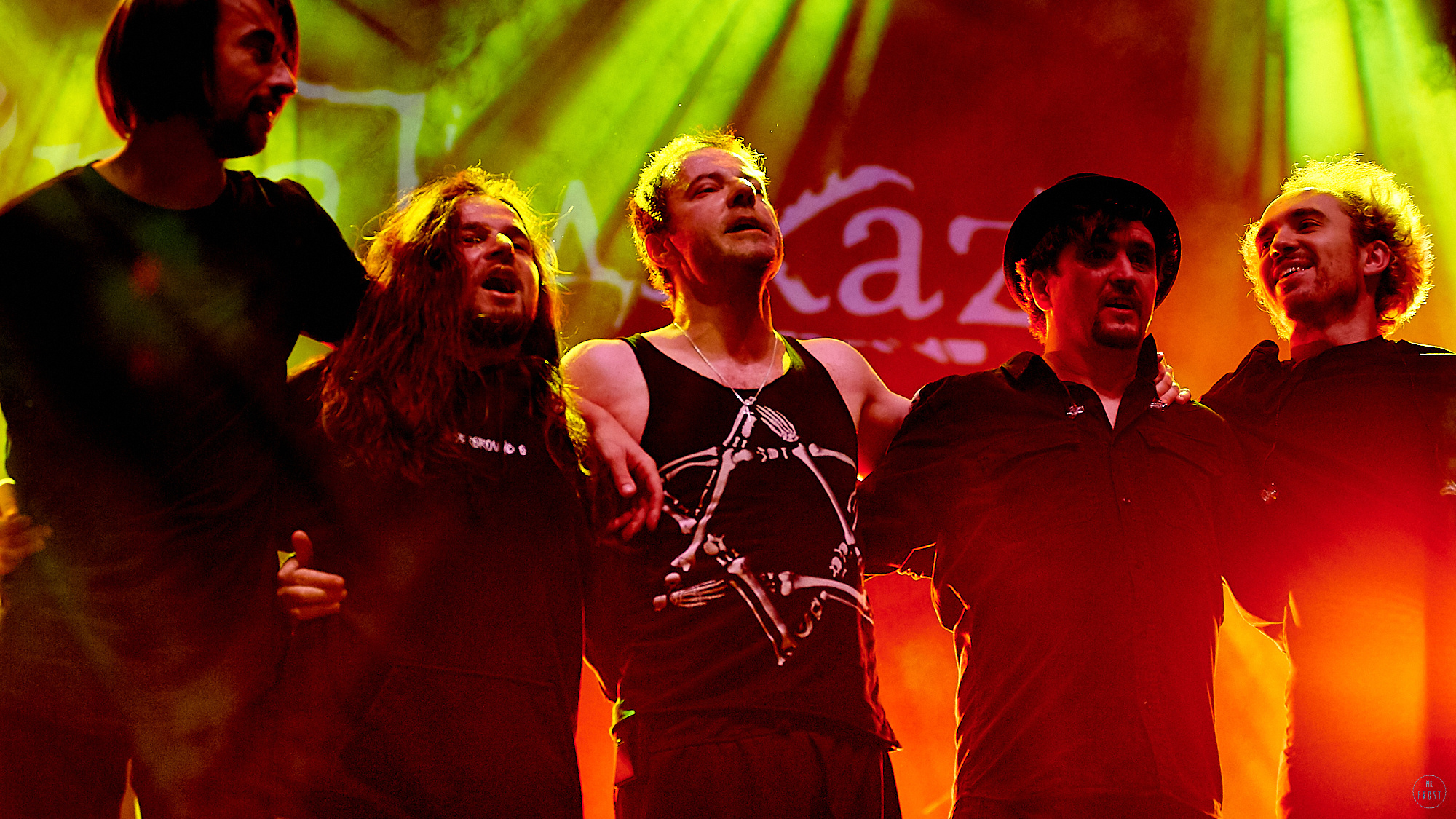 Animal ДжаZ. Фотографии отовсюду и обо всем