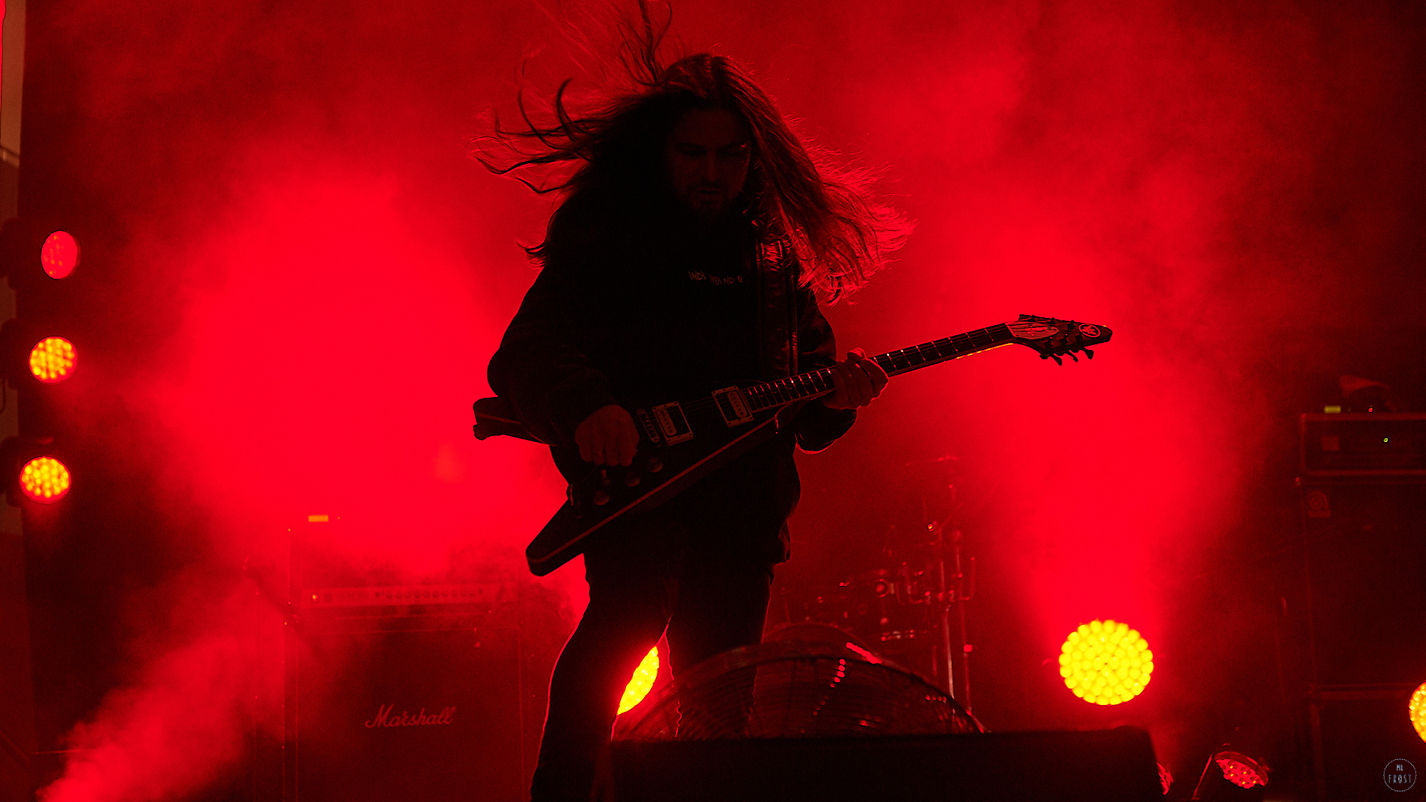 Animal ДжаZ. Фотографии отовсюду и обо всем