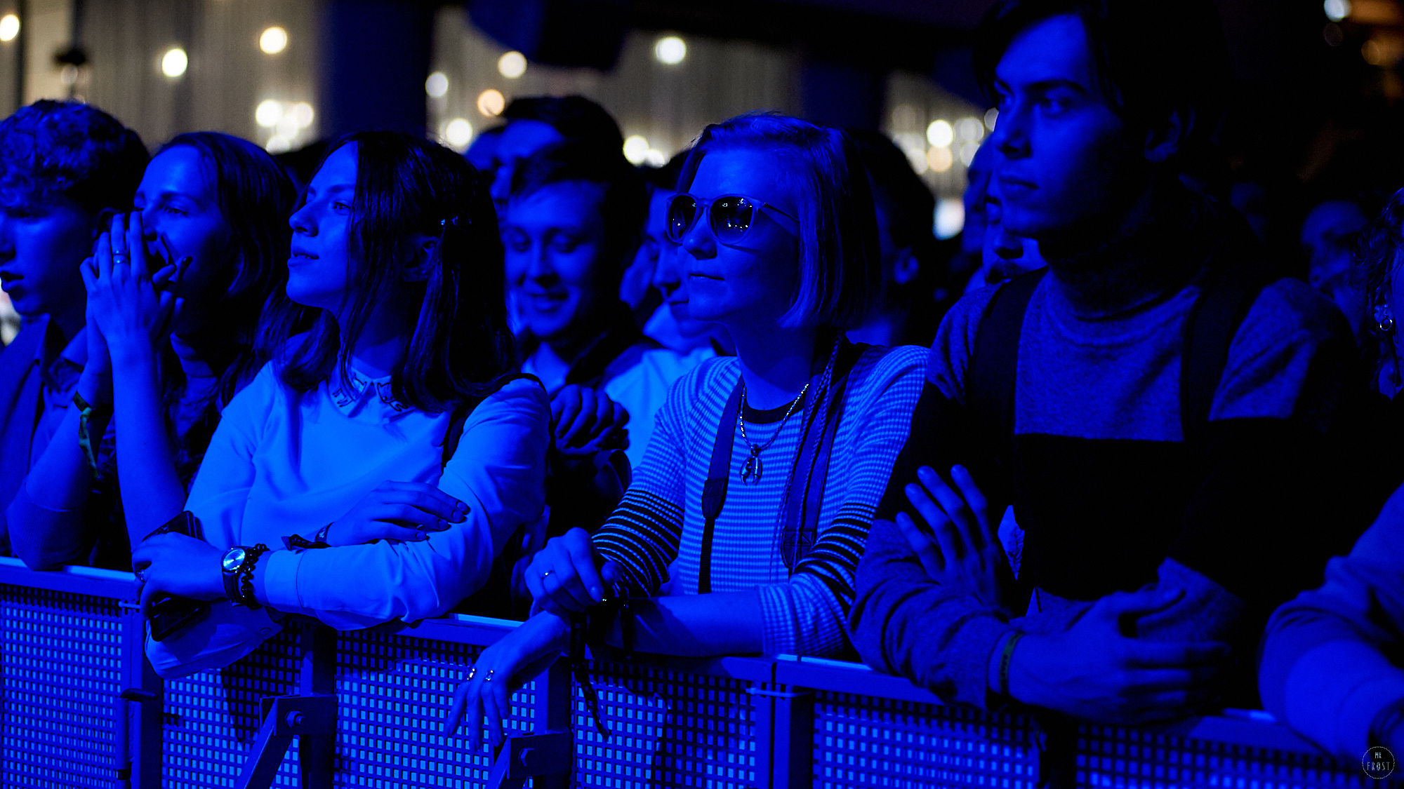 Animal ДжаZ. Фотографии отовсюду и обо всем