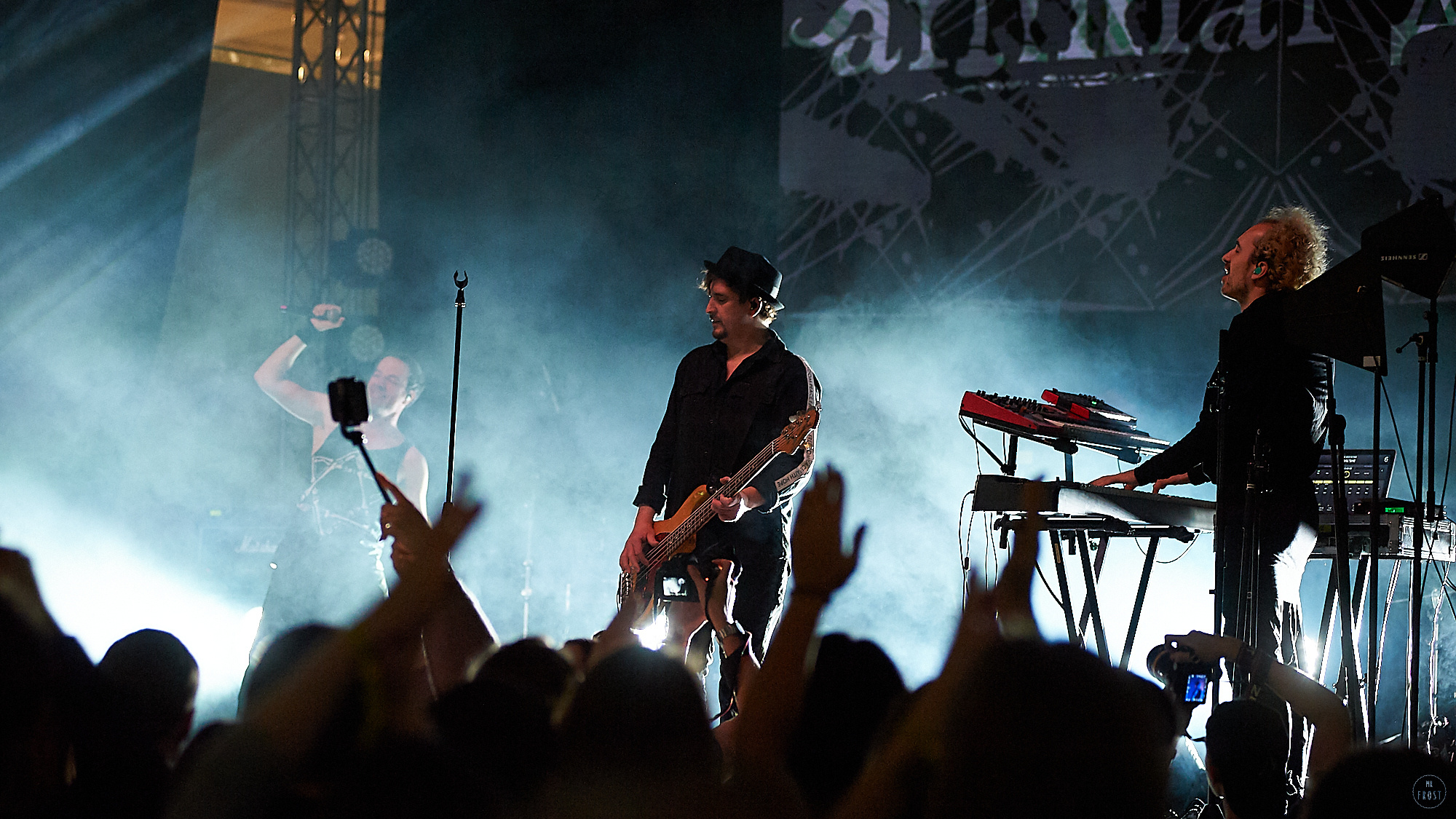 Animal ДжаZ. Фотографии отовсюду и обо всем