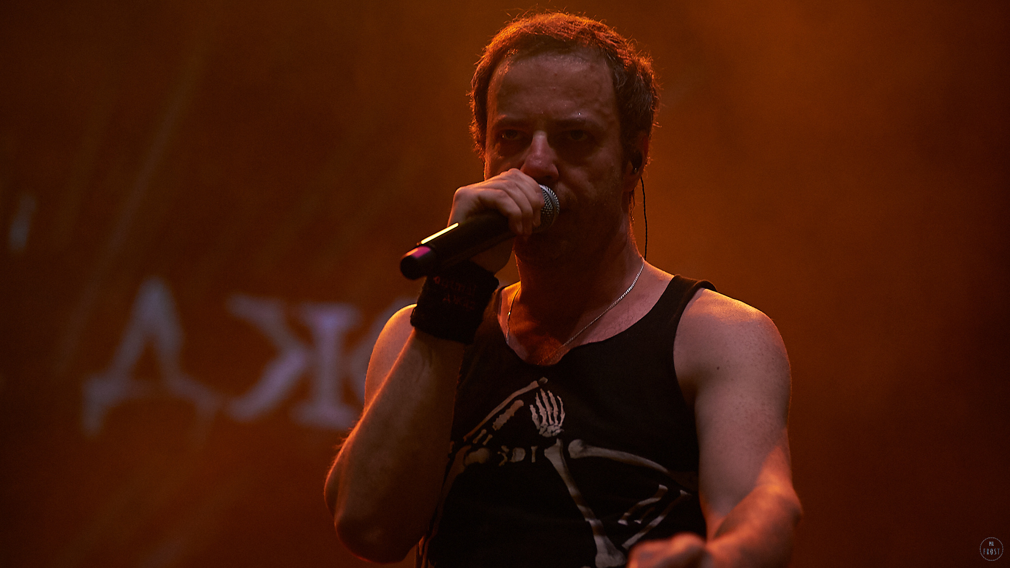 Animal ДжаZ. Фотографии отовсюду и обо всем