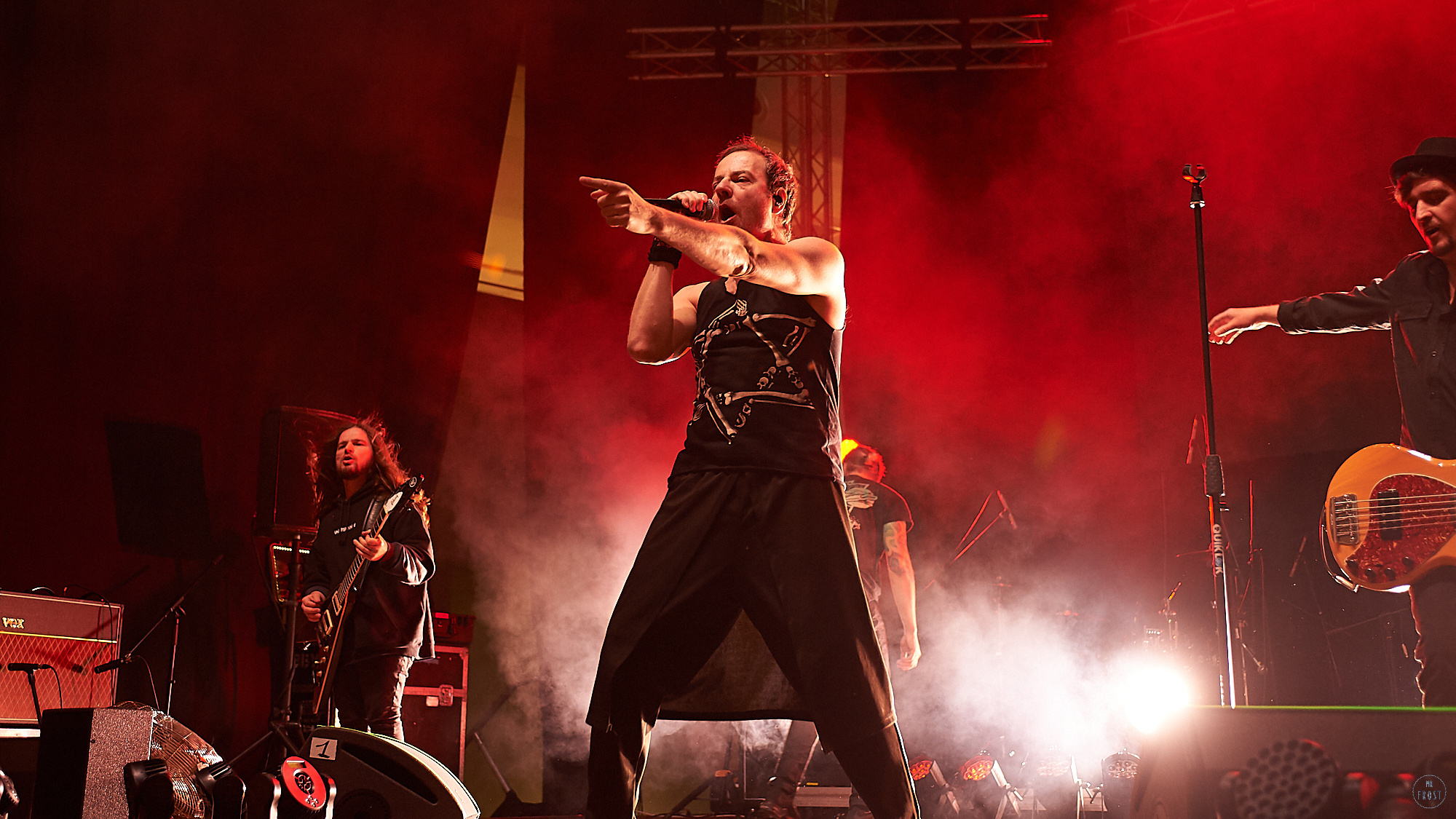 Animal ДжаZ. Фотографии отовсюду и обо всем