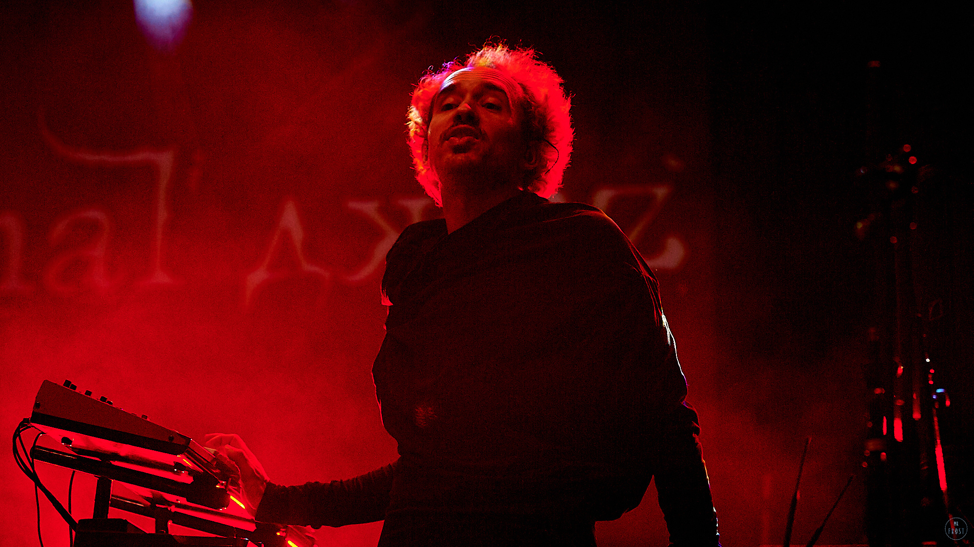 Animal ДжаZ. Фотографии отовсюду и обо всем