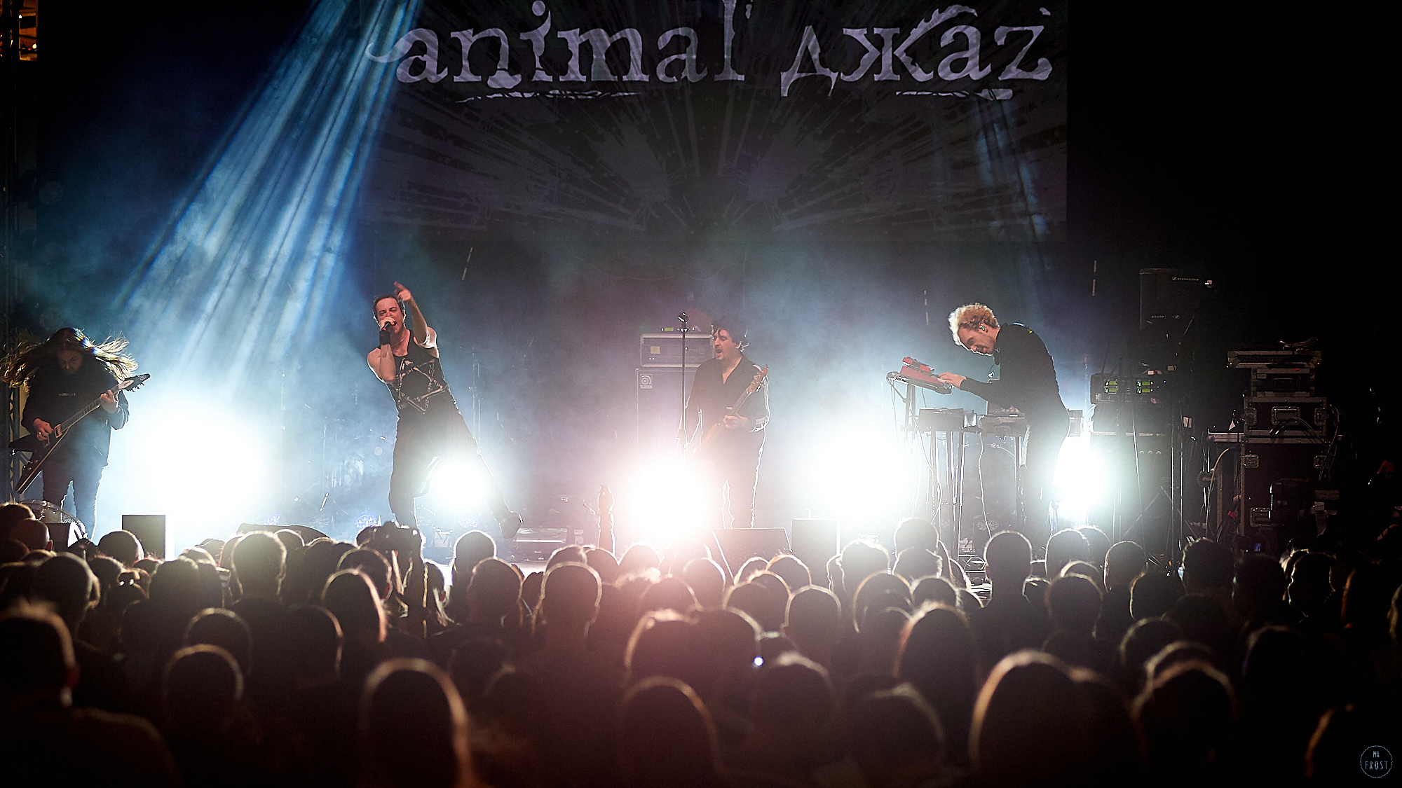 Animal ДжаZ. Фотографии отовсюду и обо всем