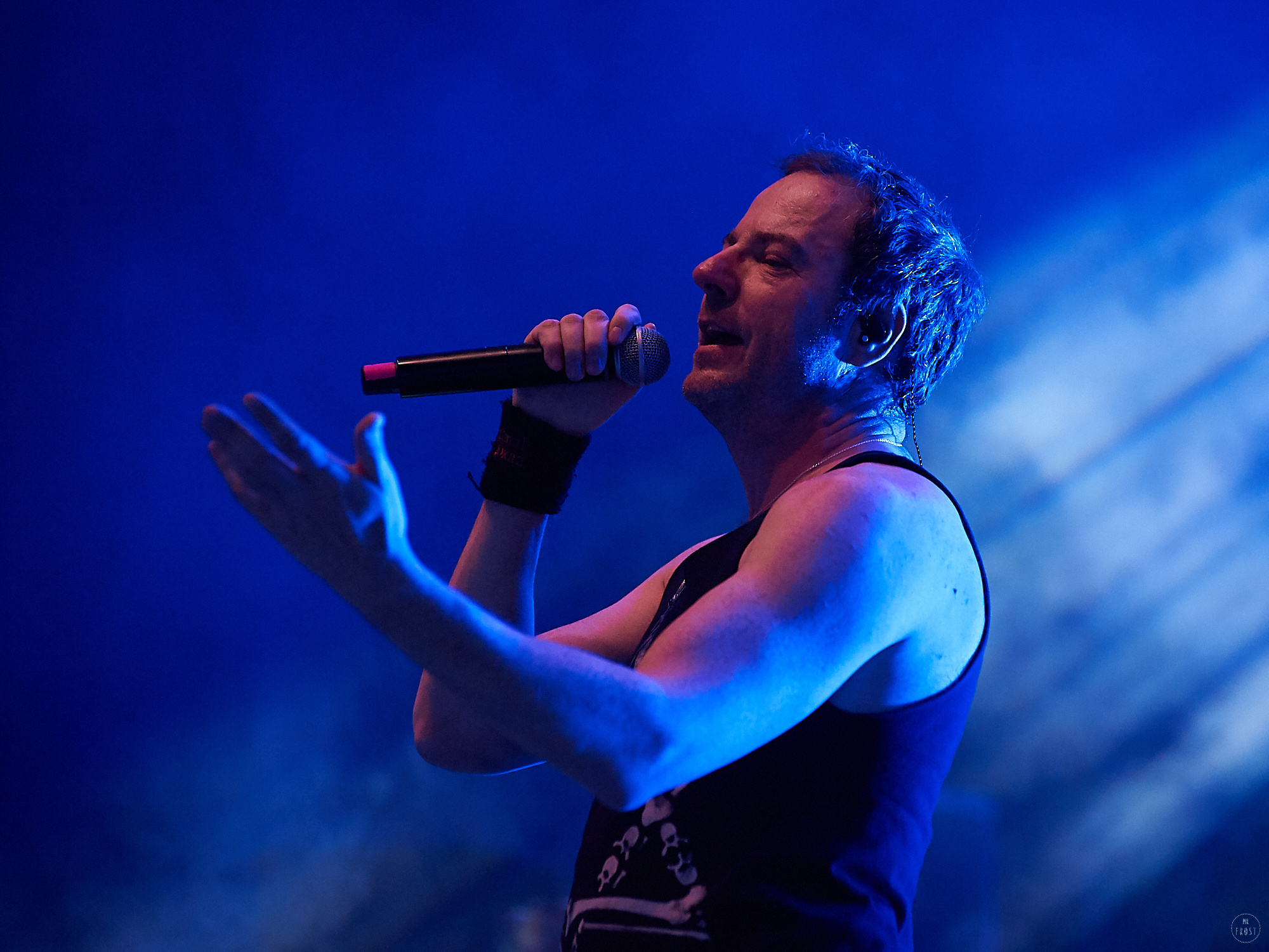 Animal ДжаZ. Фотографии отовсюду и обо всем