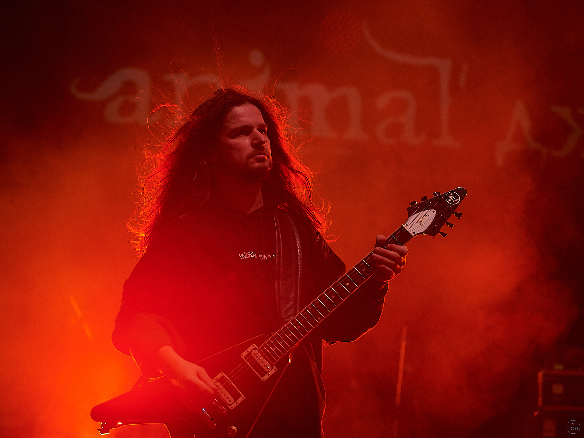 Animal ДжаZ. Фотографии отовсюду и обо всем