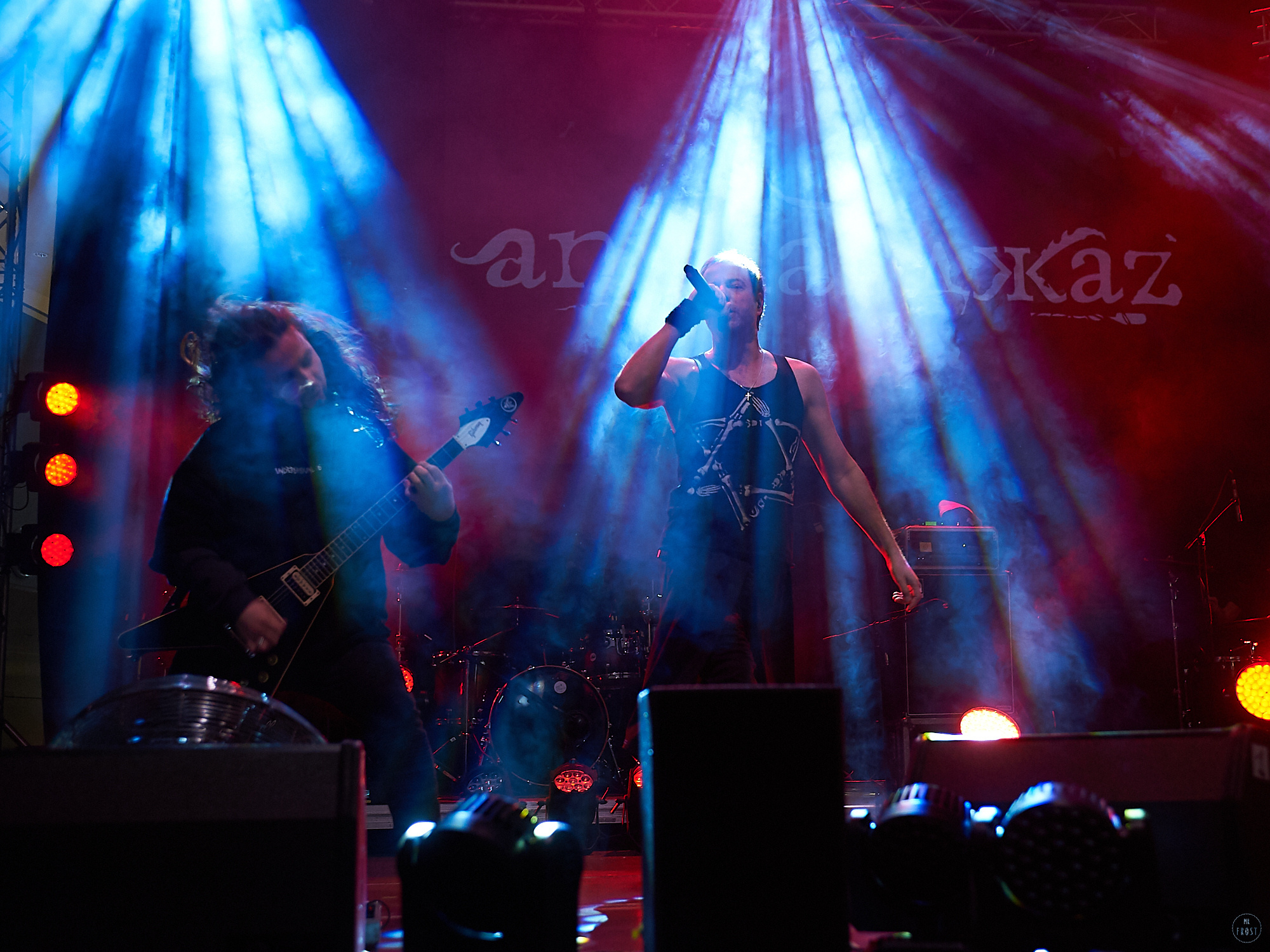 Animal ДжаZ. Фотографии отовсюду и обо всем