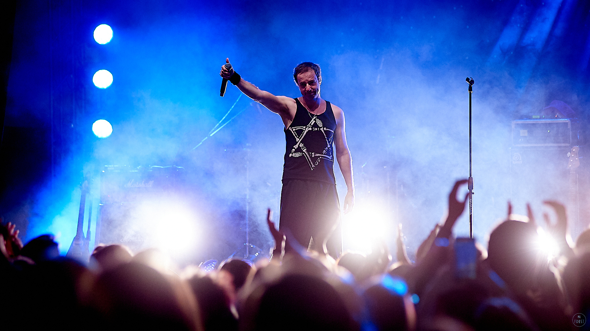 Animal ДжаZ. Фотографии отовсюду и обо всем