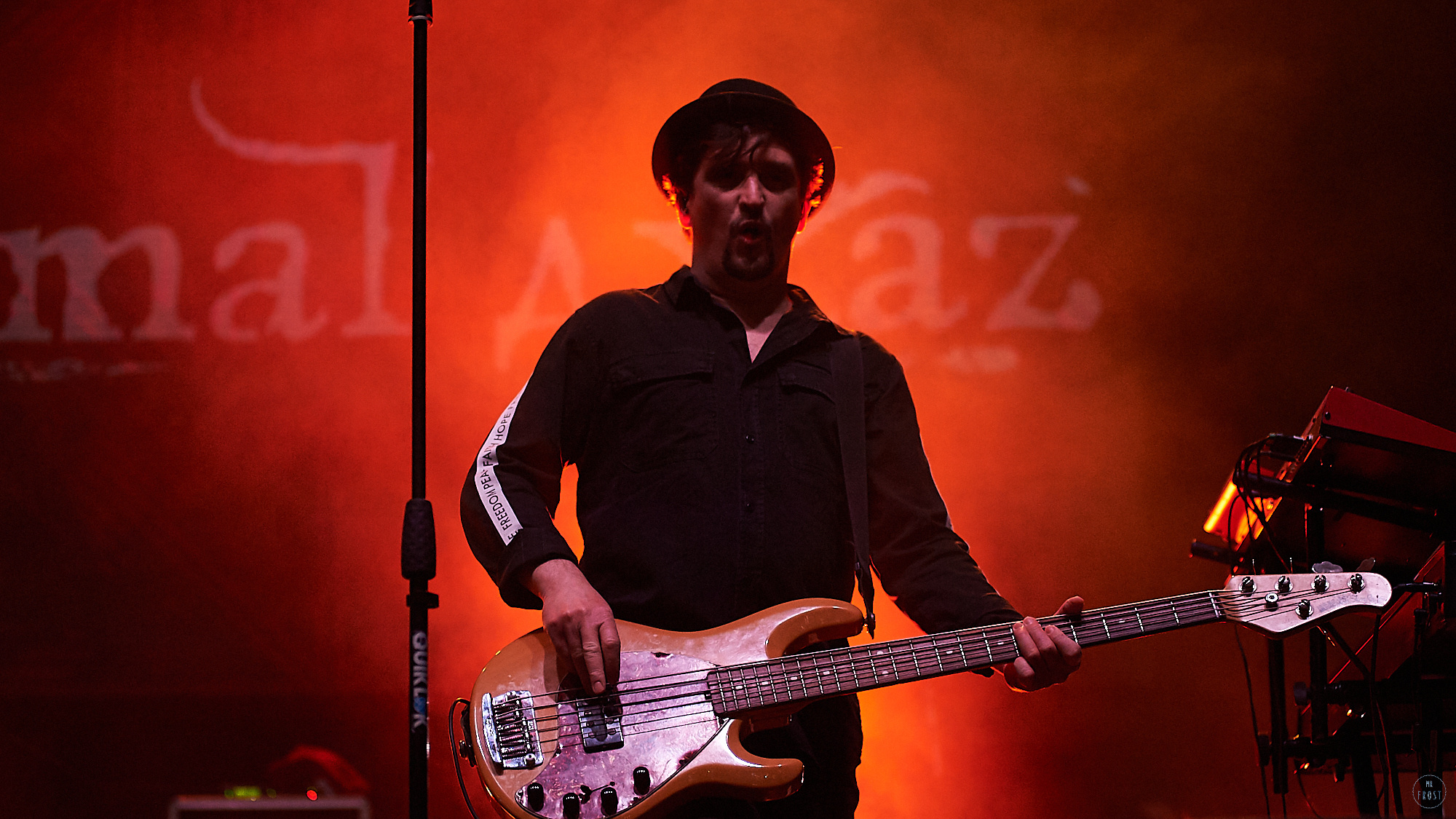 Animal ДжаZ. Фотографии отовсюду и обо всем