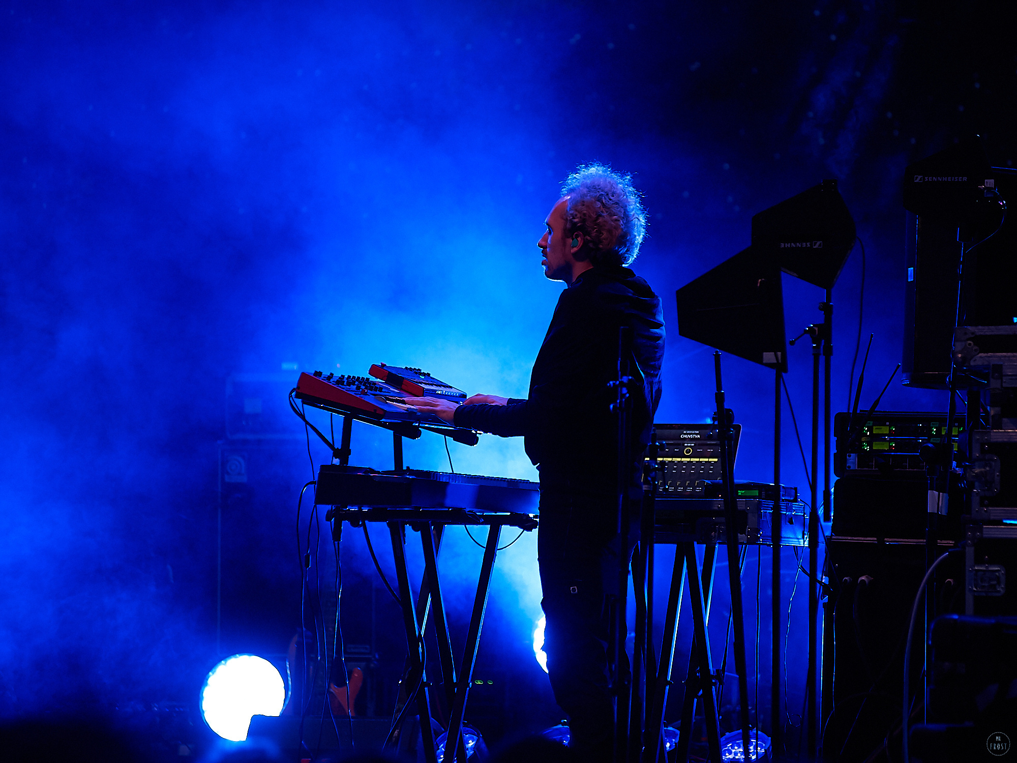 Animal ДжаZ. Фотографии отовсюду и обо всем